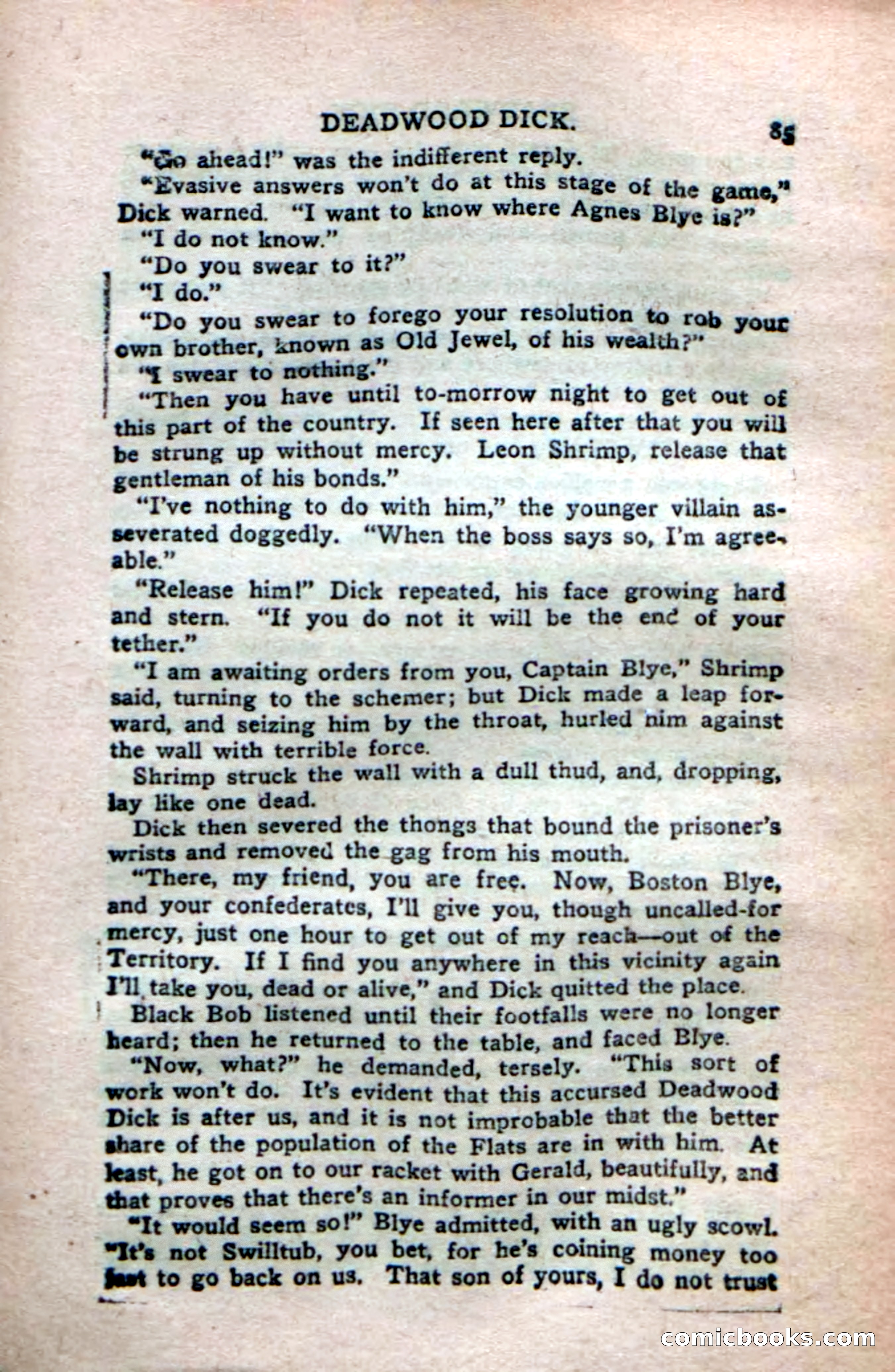 Deadwood Dick's Dozen; or The Fakir of Phantom Flats — page 83 of 100