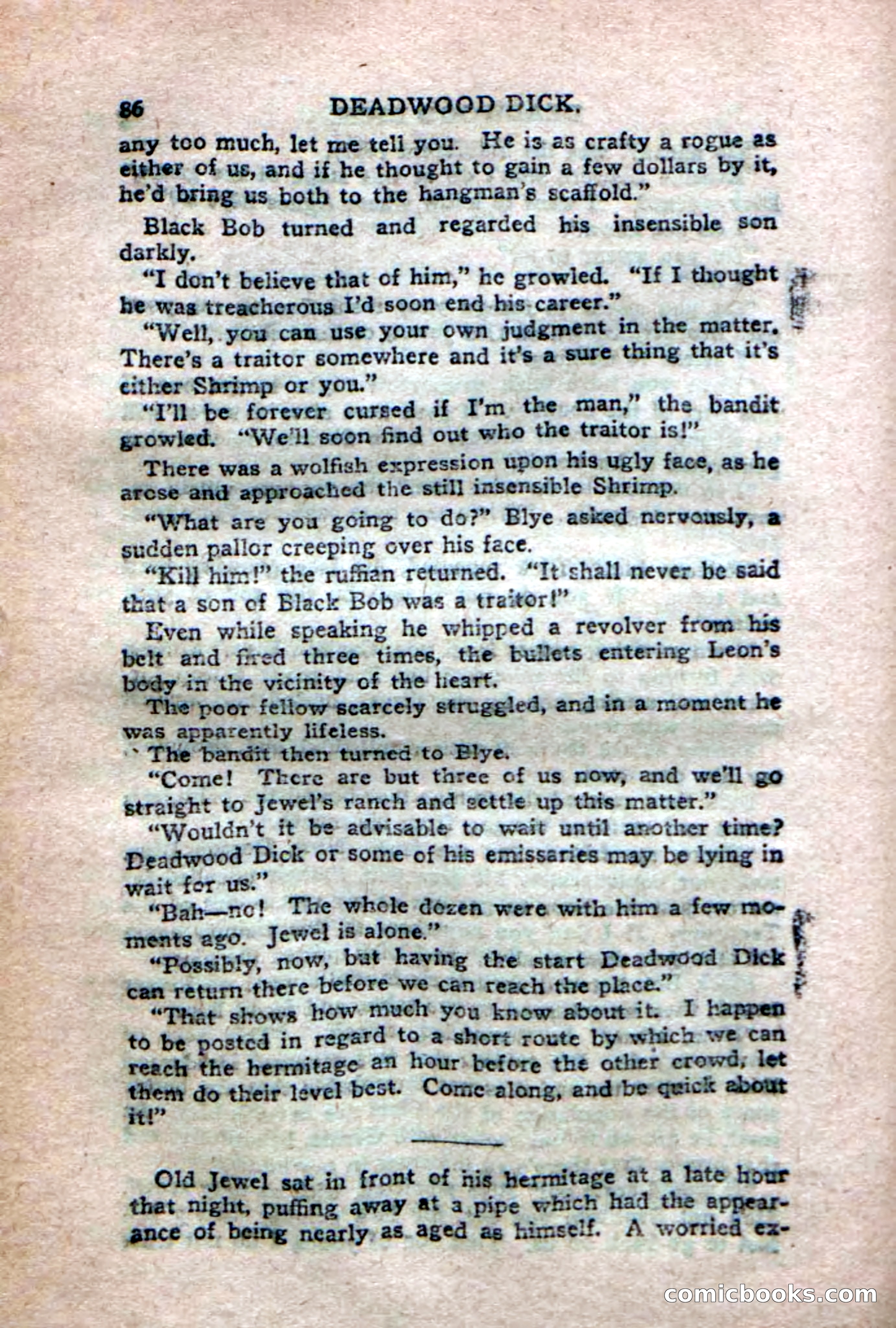 Deadwood Dick's Dozen; or The Fakir of Phantom Flats — page 84 of 100