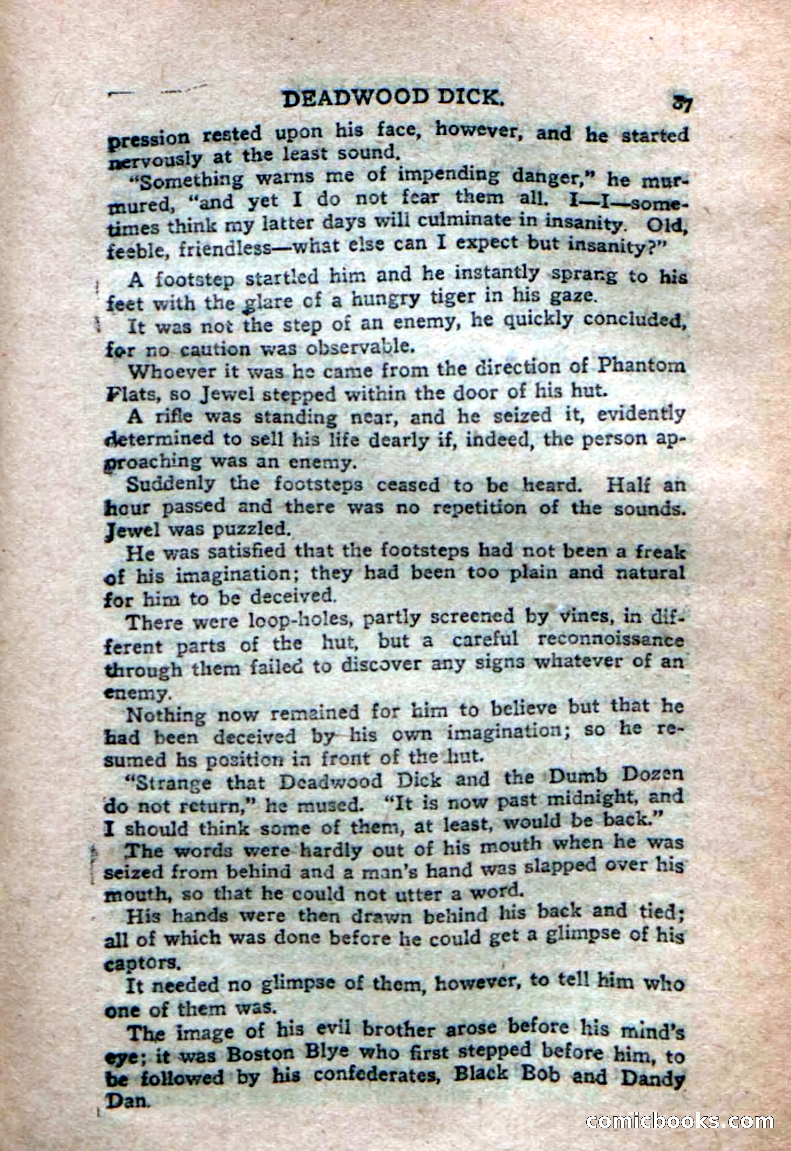 Deadwood Dick's Dozen; or The Fakir of Phantom Flats — page 85 of 100