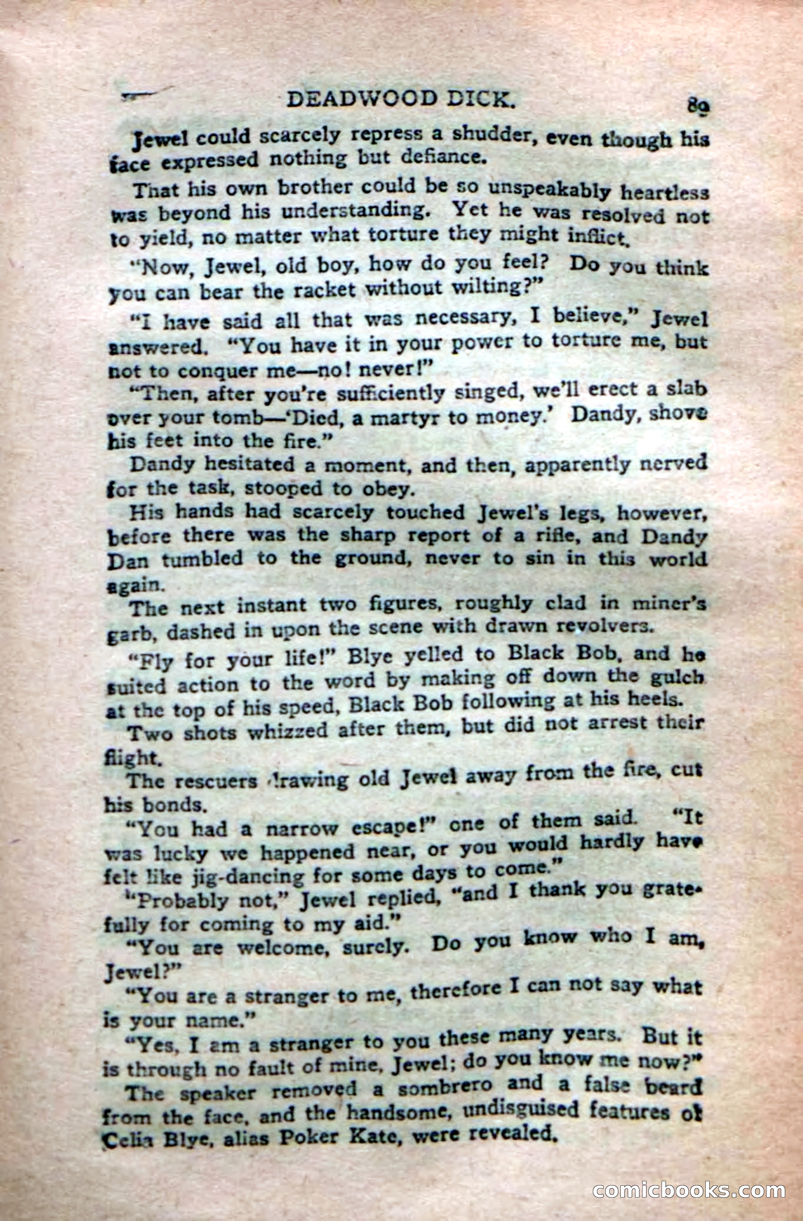 Deadwood Dick's Dozen; or The Fakir of Phantom Flats — page 87 of 100