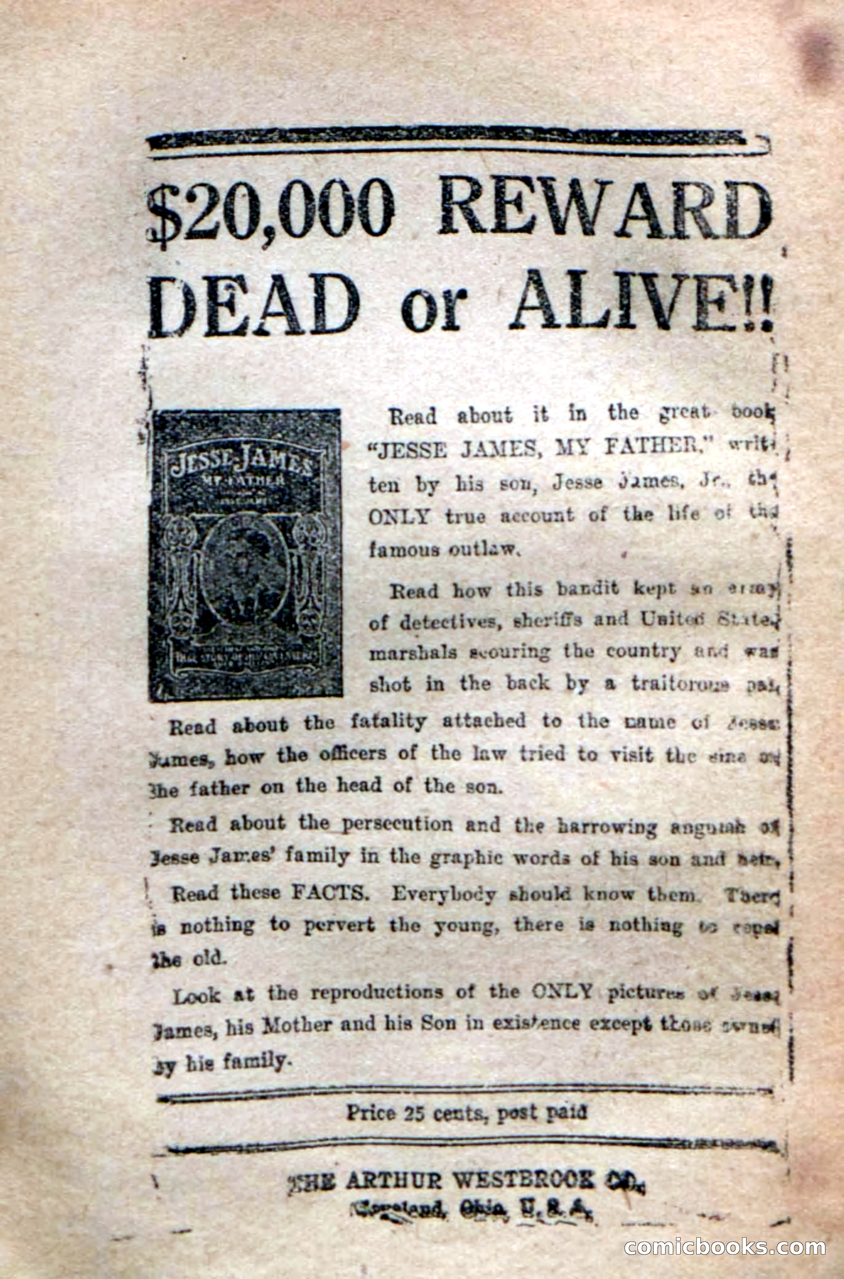 Deadwood Dick's Dozen; or The Fakir of Phantom Flats — page 97 of 100