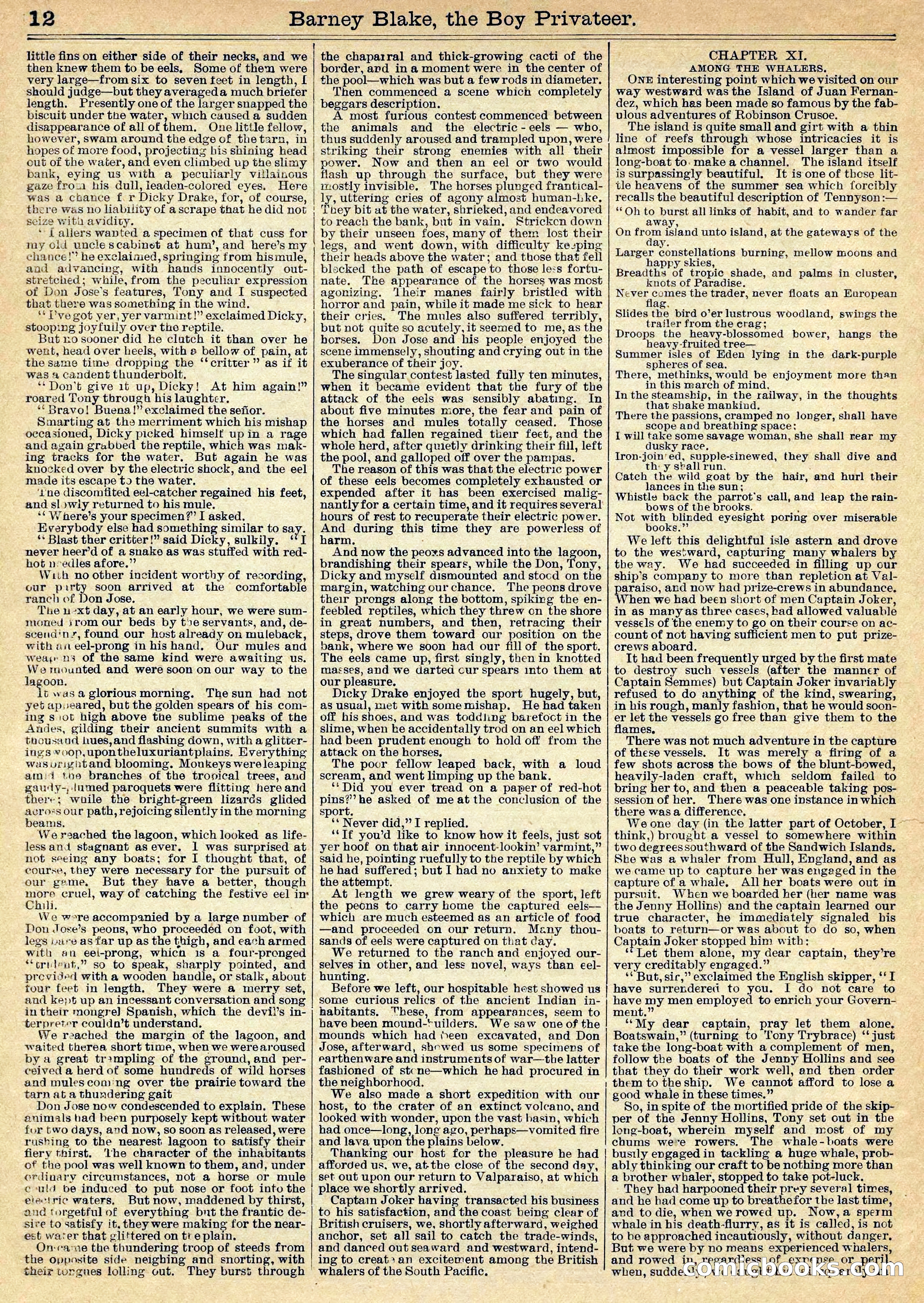 Beadle's Half Dime Library No. 1020 — page 12 of 17