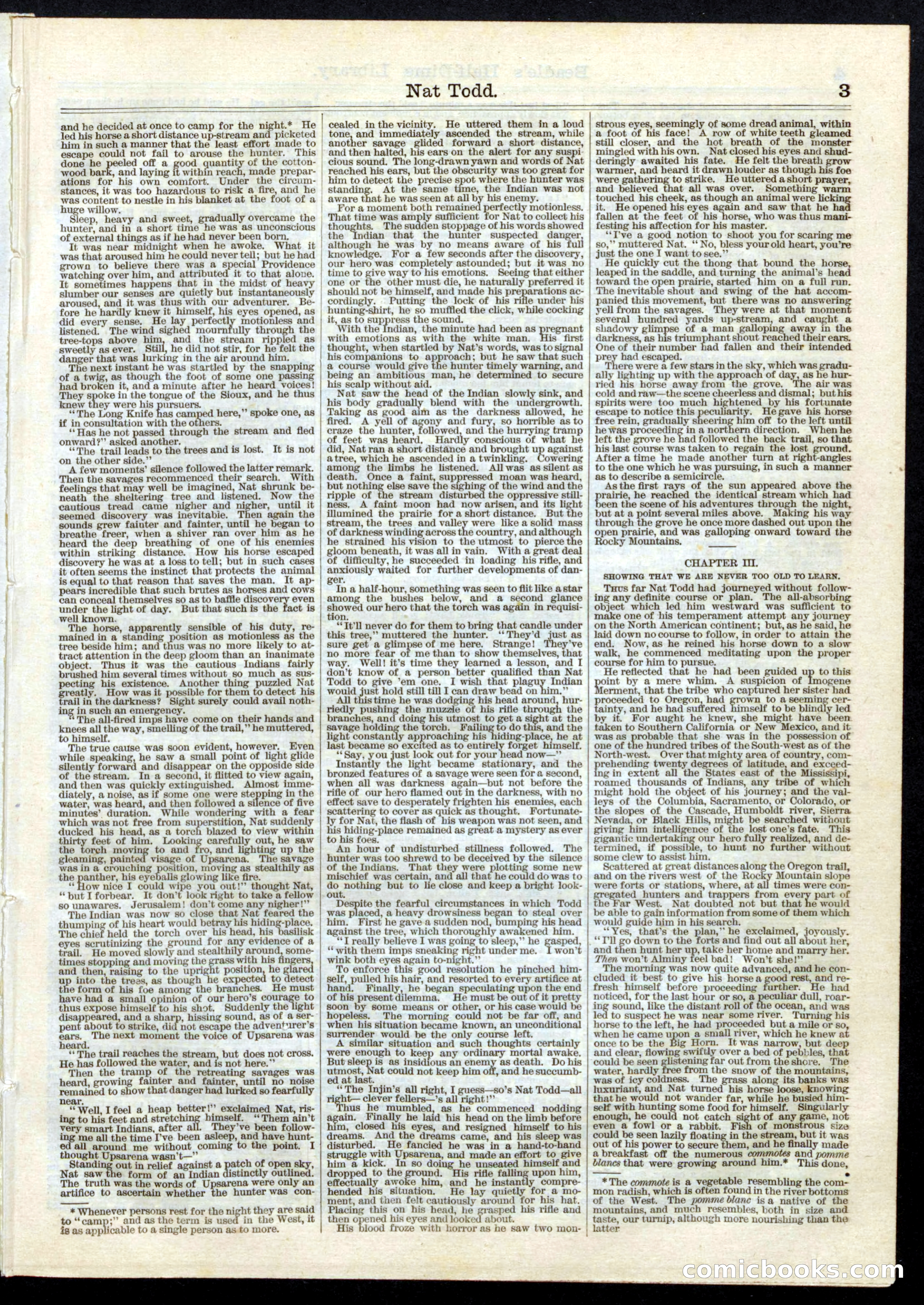 Beadle's Half Dime Library, No. 10 — page 3 of 16