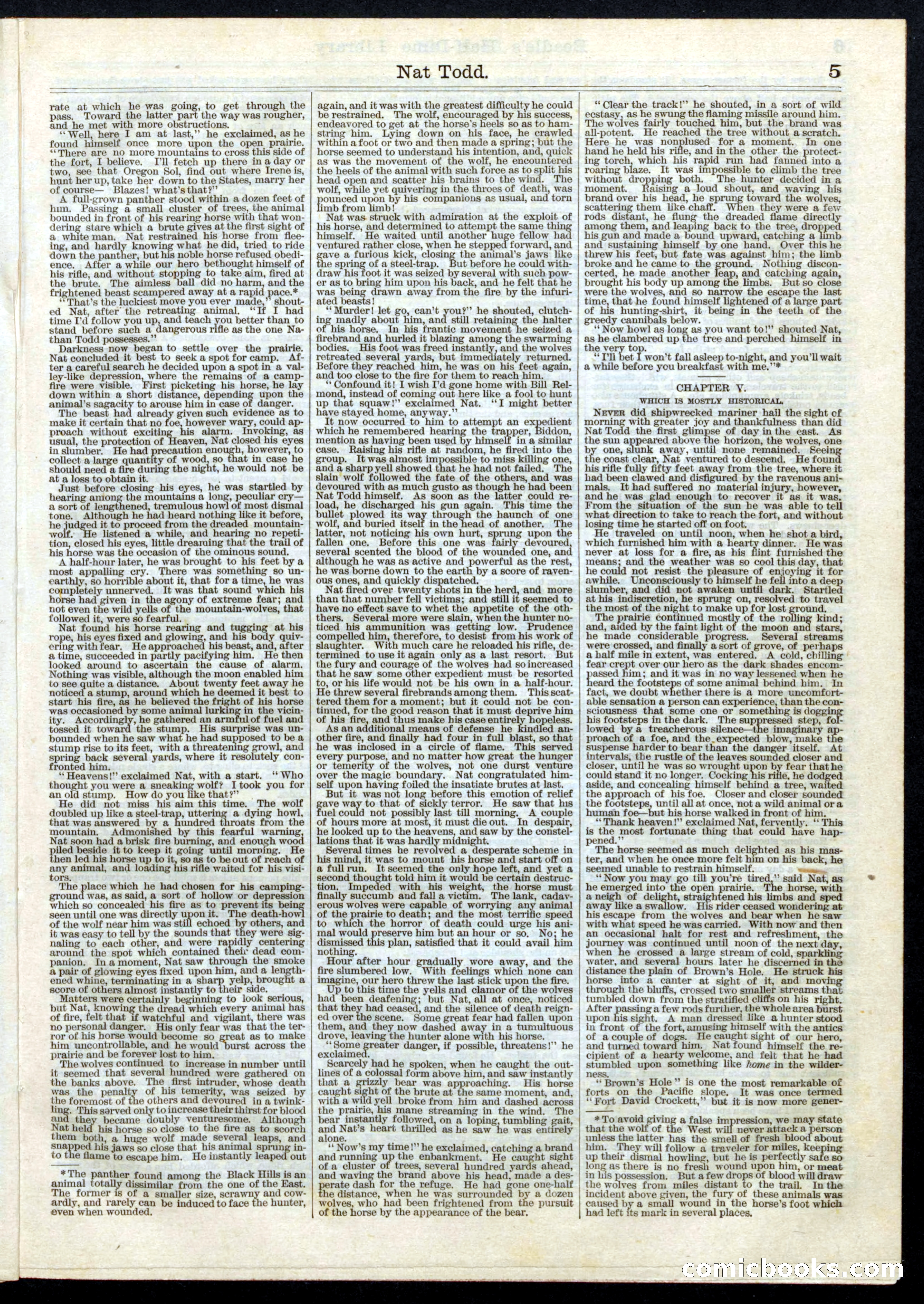 Beadle's Half Dime Library, No. 10 — page 5 of 16