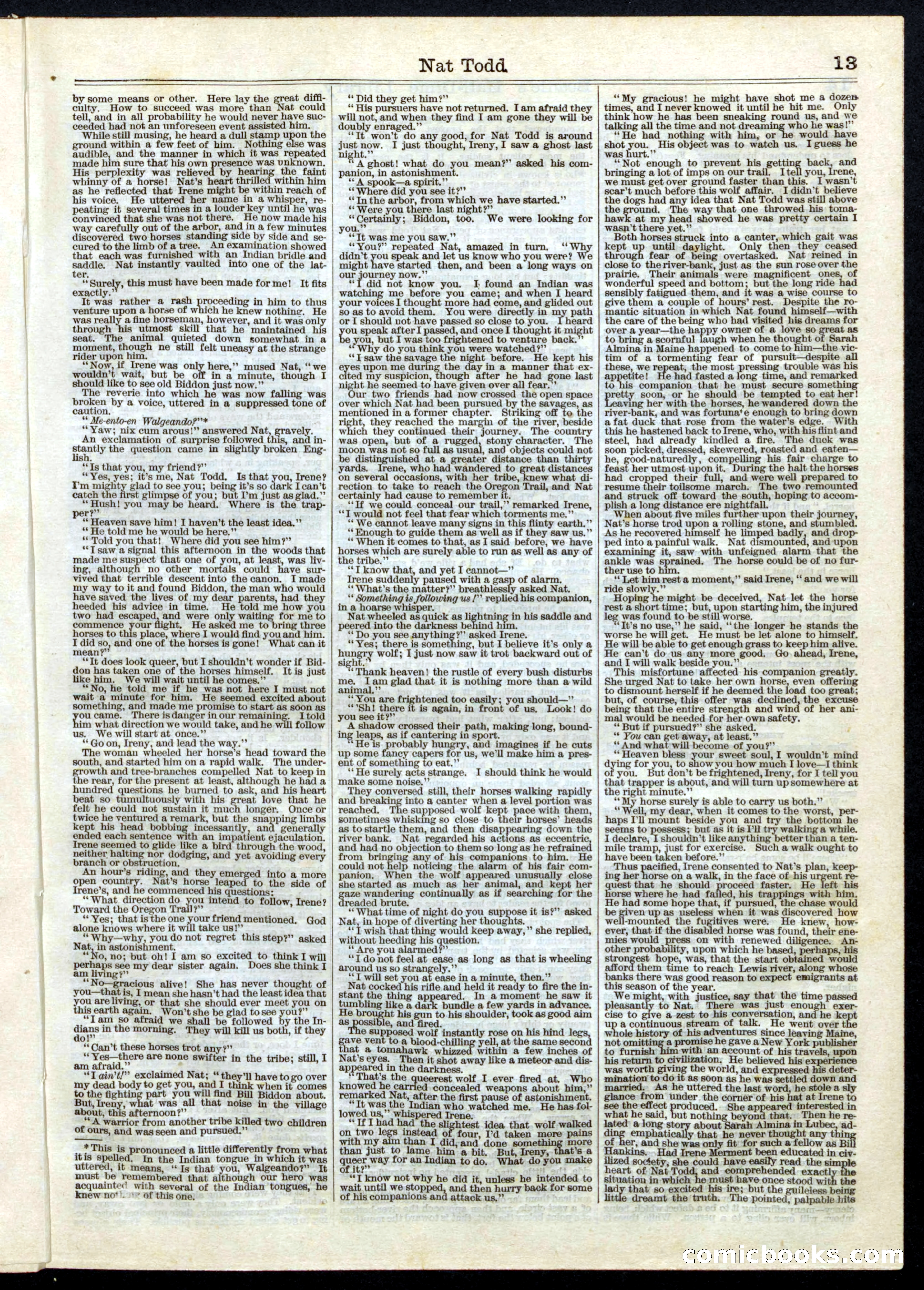 Beadle's Half Dime Library, No. 10 — page 13 of 16