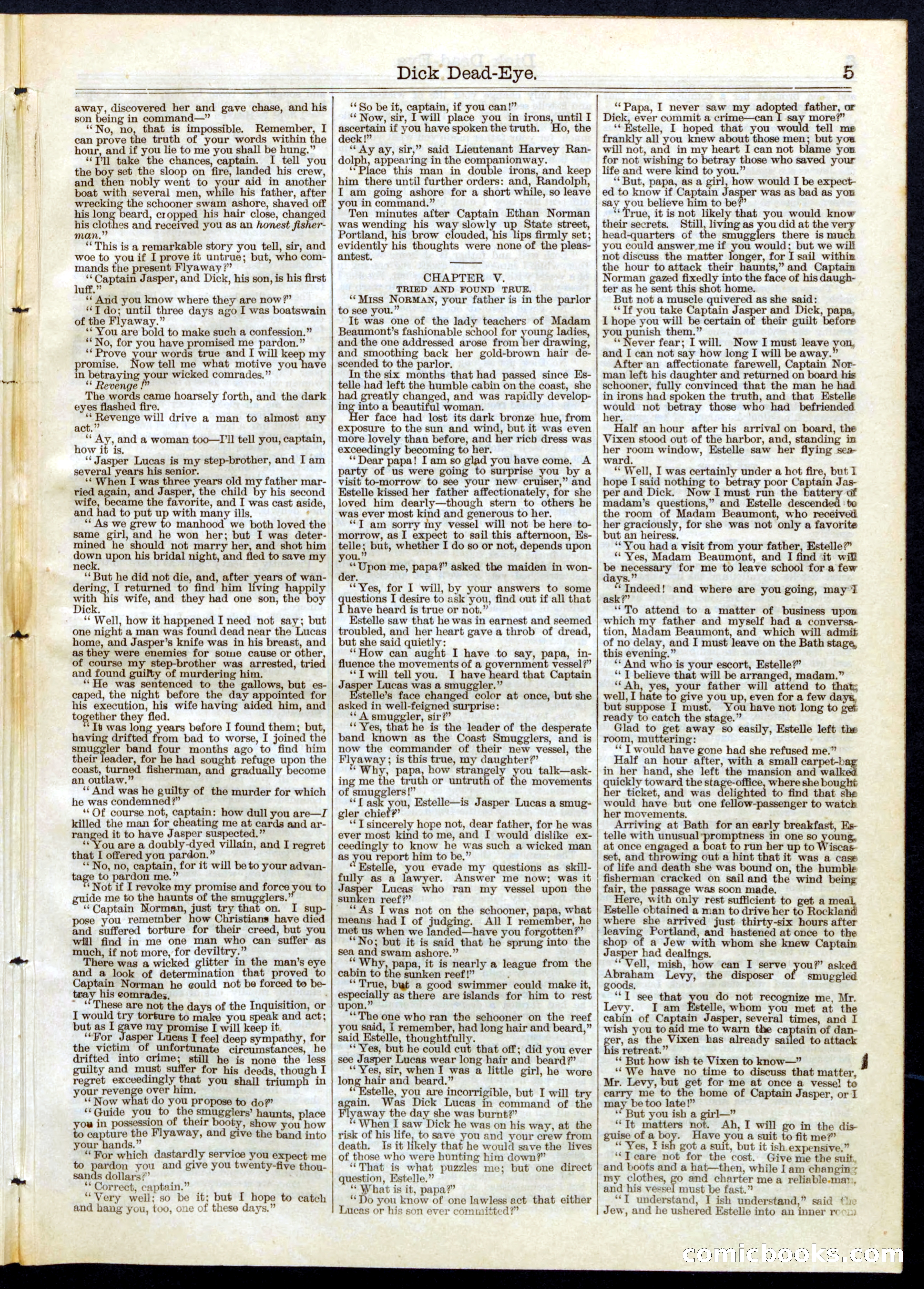 Beadle's Half Dime Library No. 102 — page 5 of 16