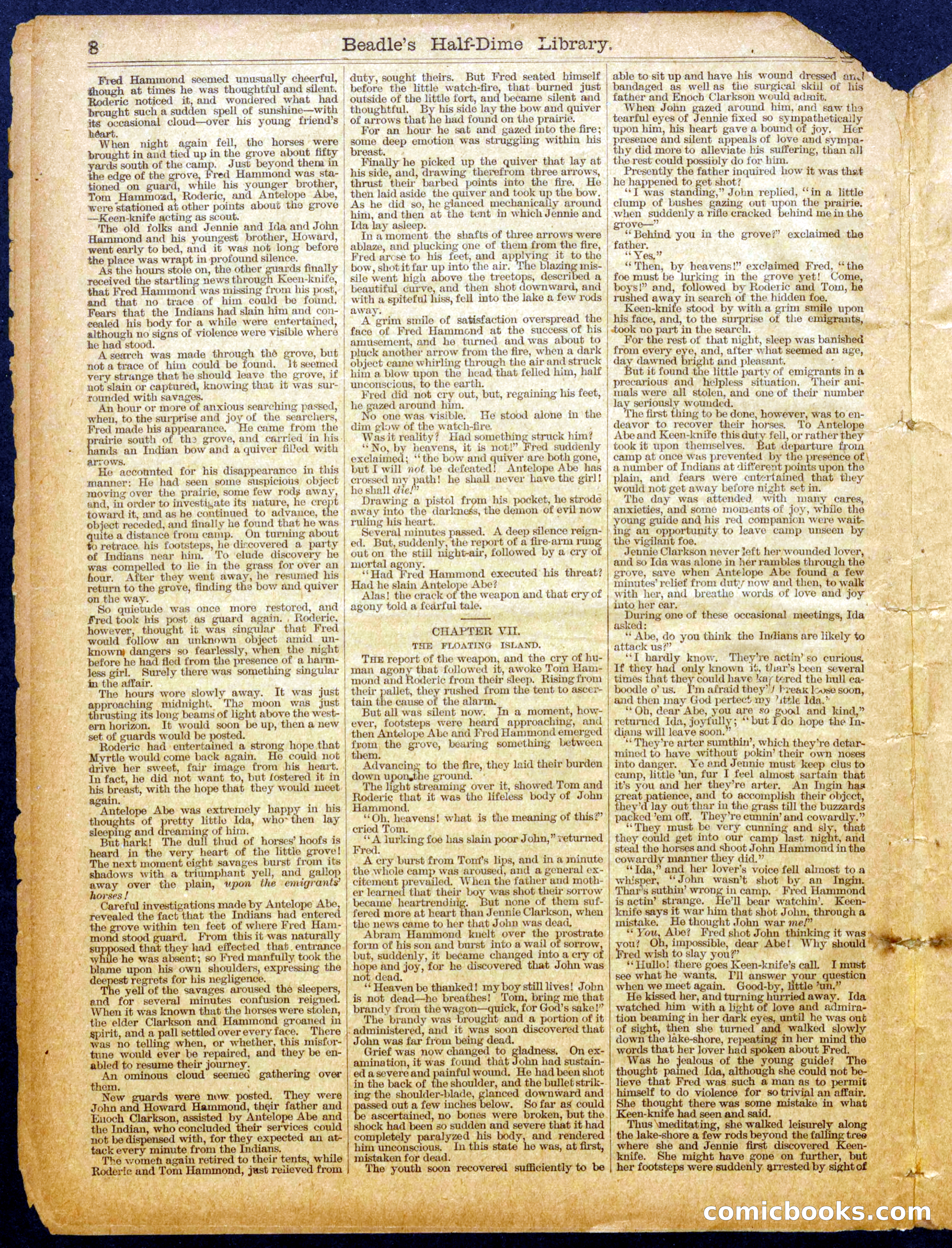 Beadle's Half Dime Library No. 1035 — page 8 of 16