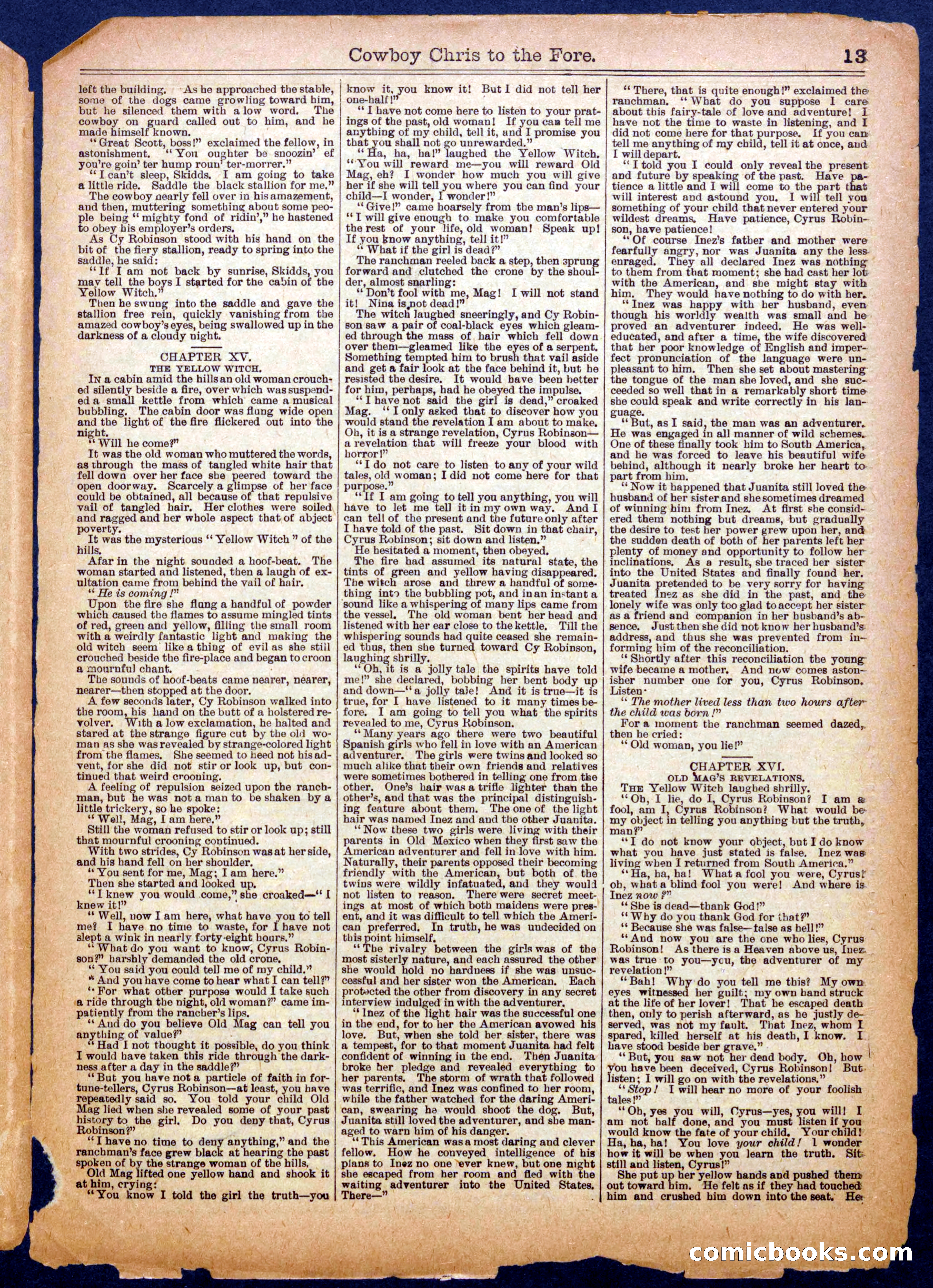 Beadle's Half Dime Library No. 1041 — page 13 of 16