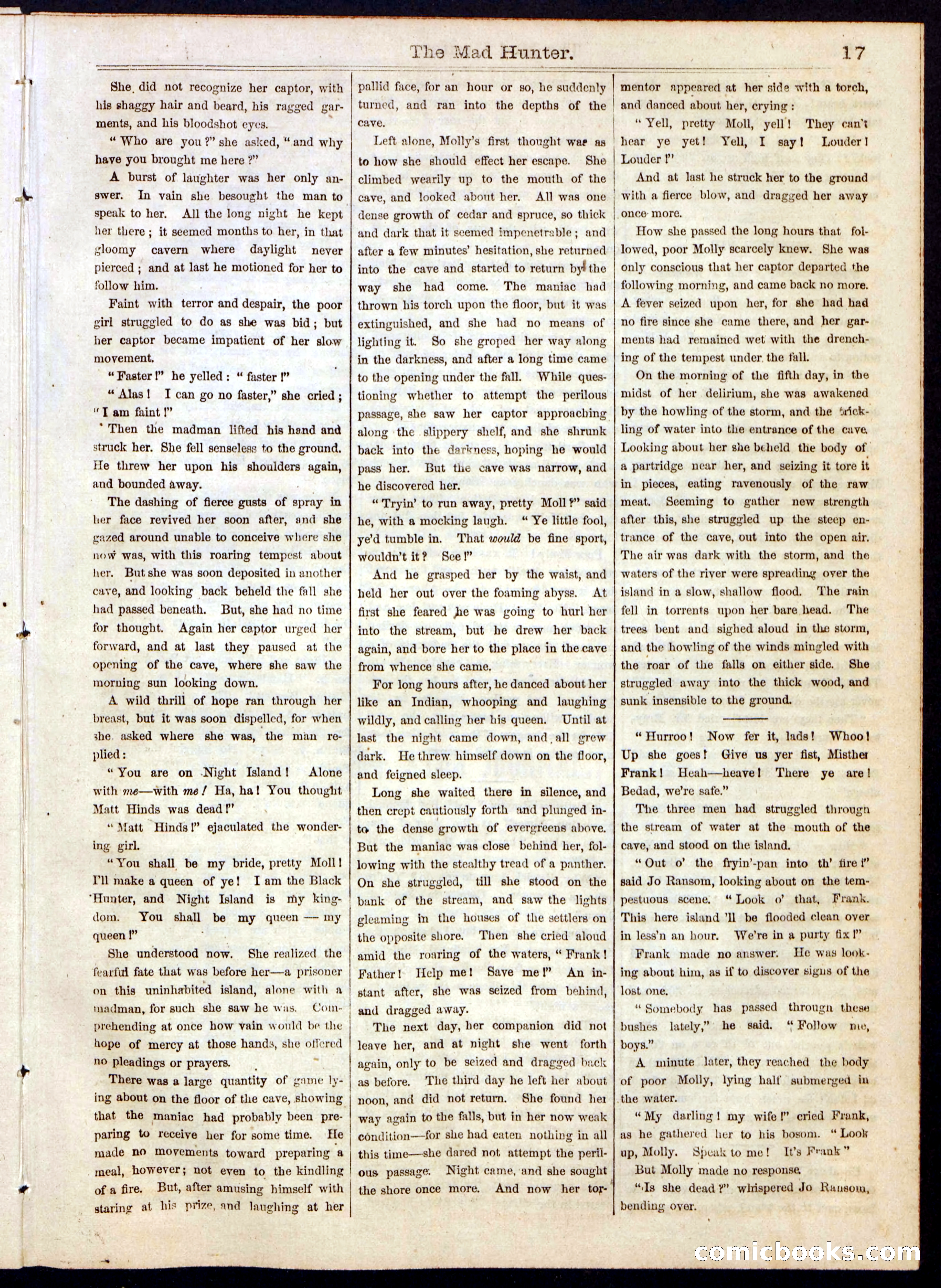 Beadle's Half Dime Library No. 112 — page 17 of 20