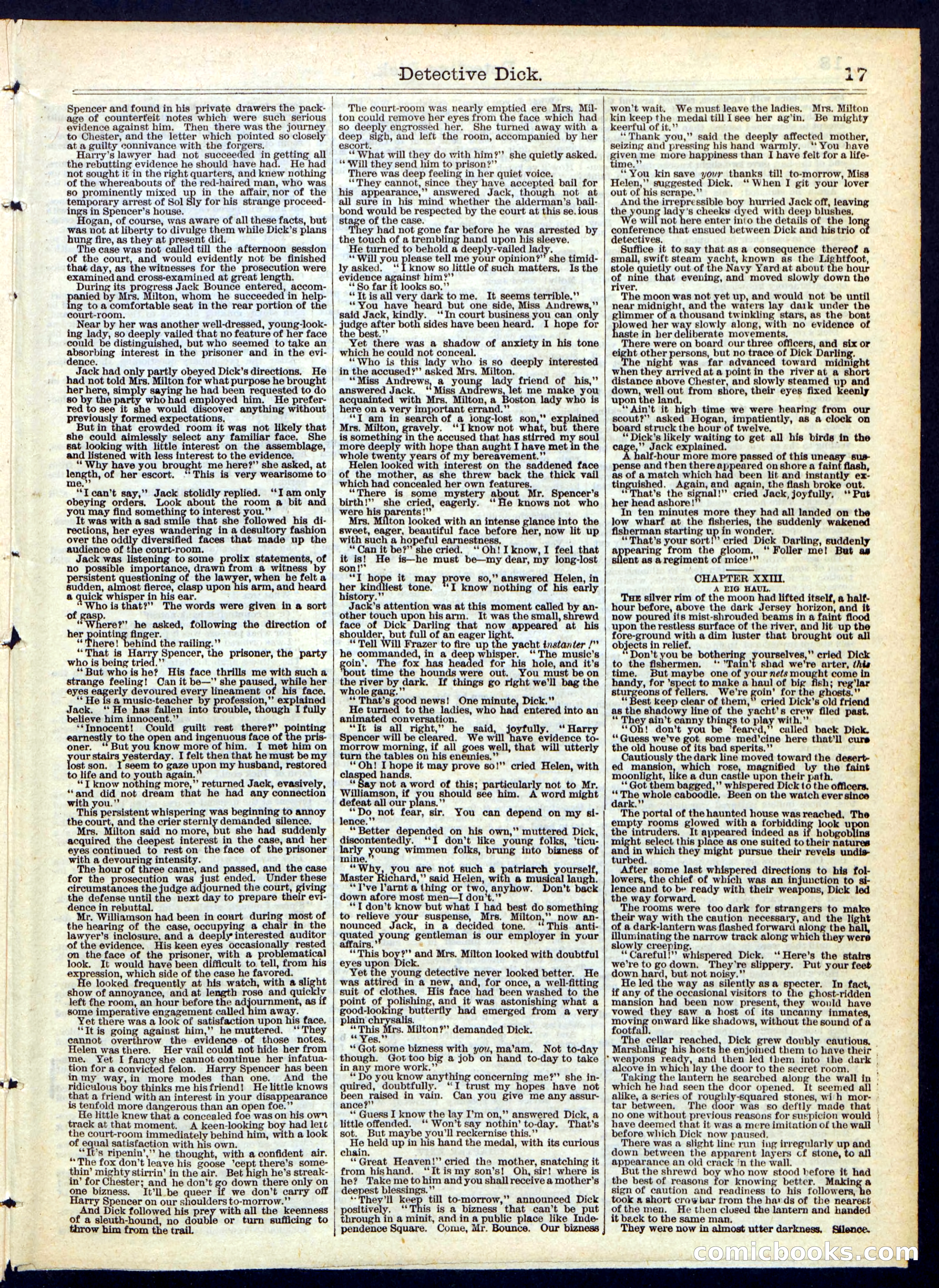 Beadle's Half Dime Library, No. 130 — page 17 of 20