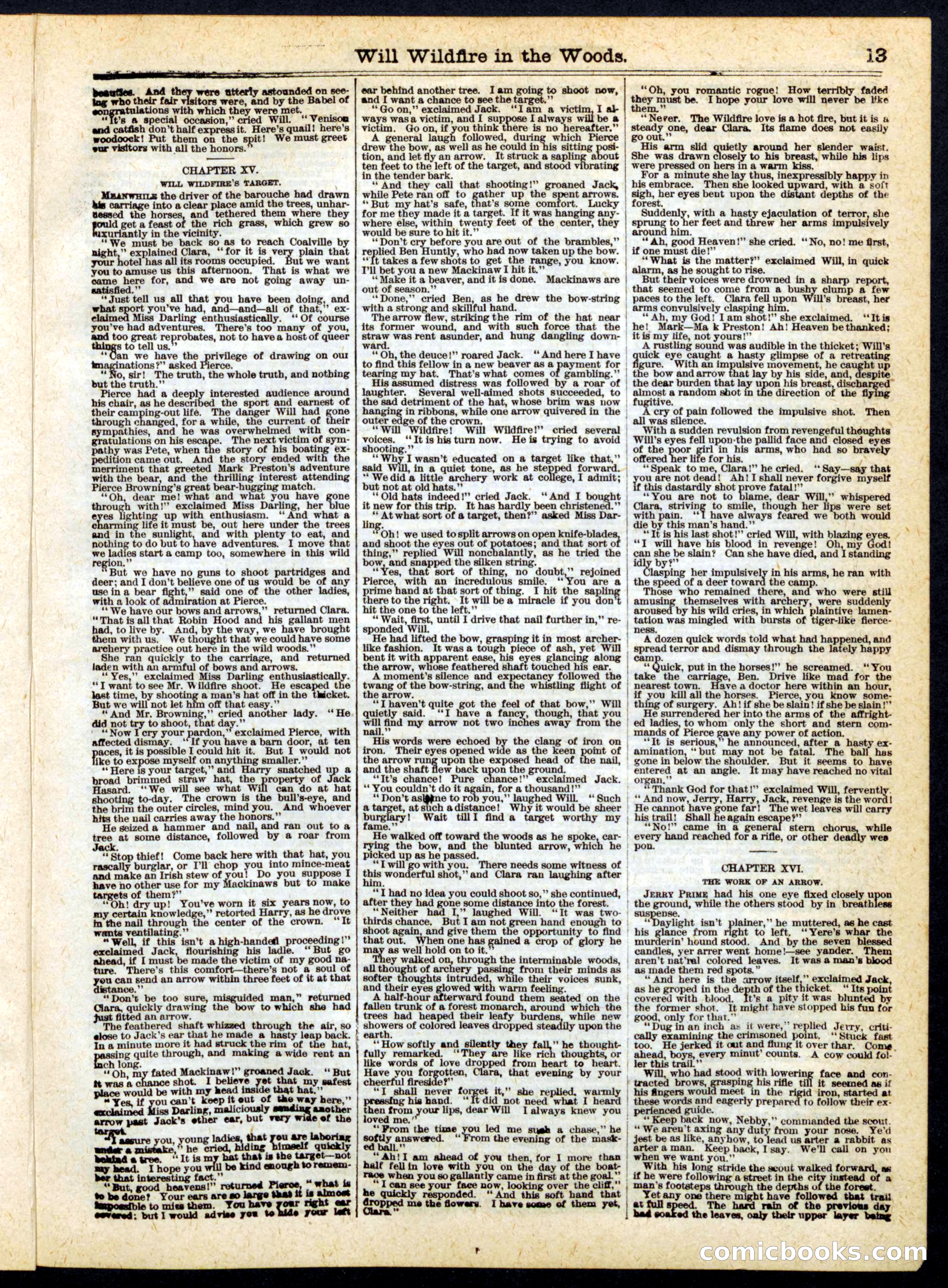 Beadle's Half Dime Library No. 162 — page 13 of 16