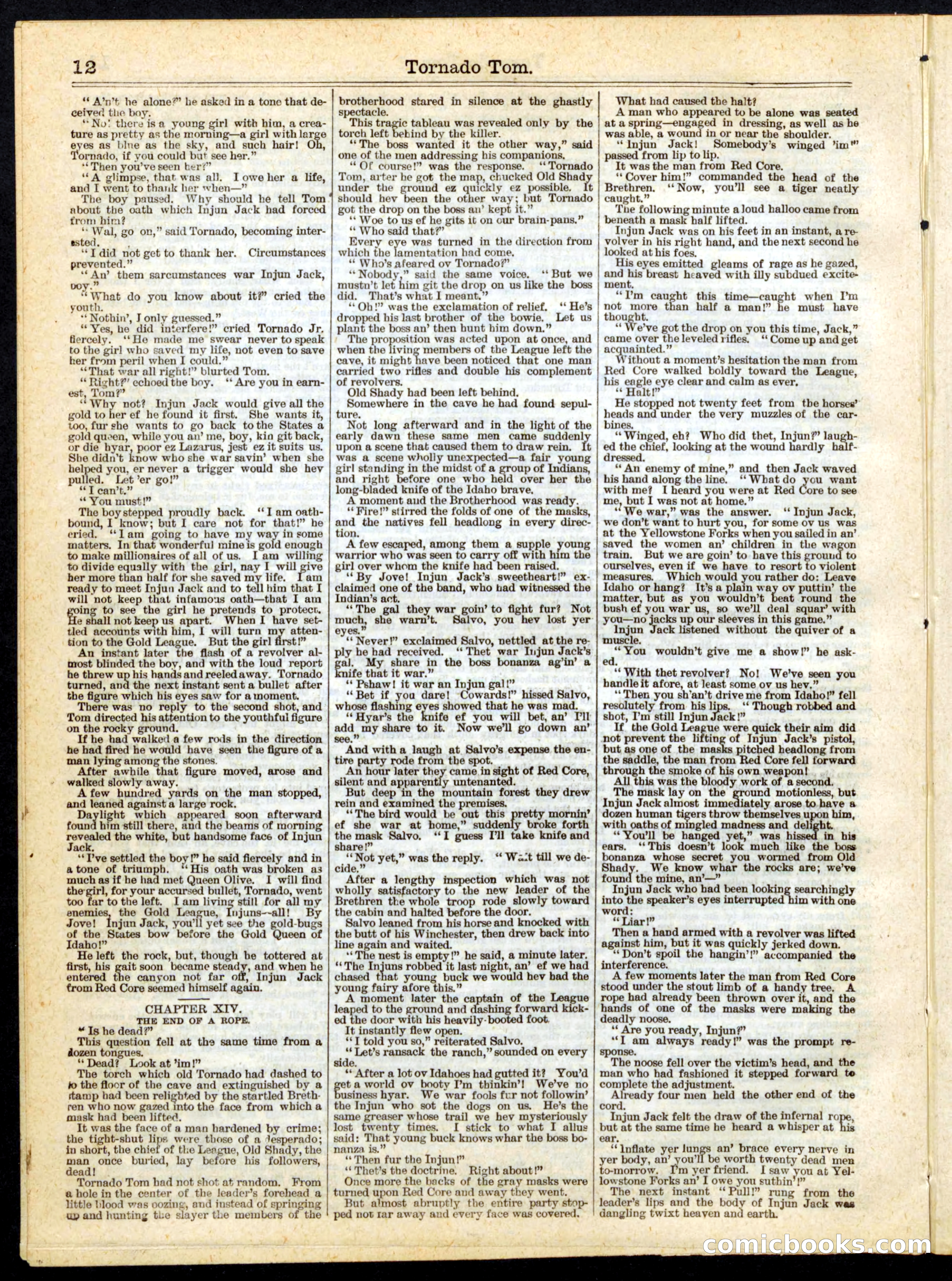 Beadle's Half Dime Library, No. 169 — page 12 of 16