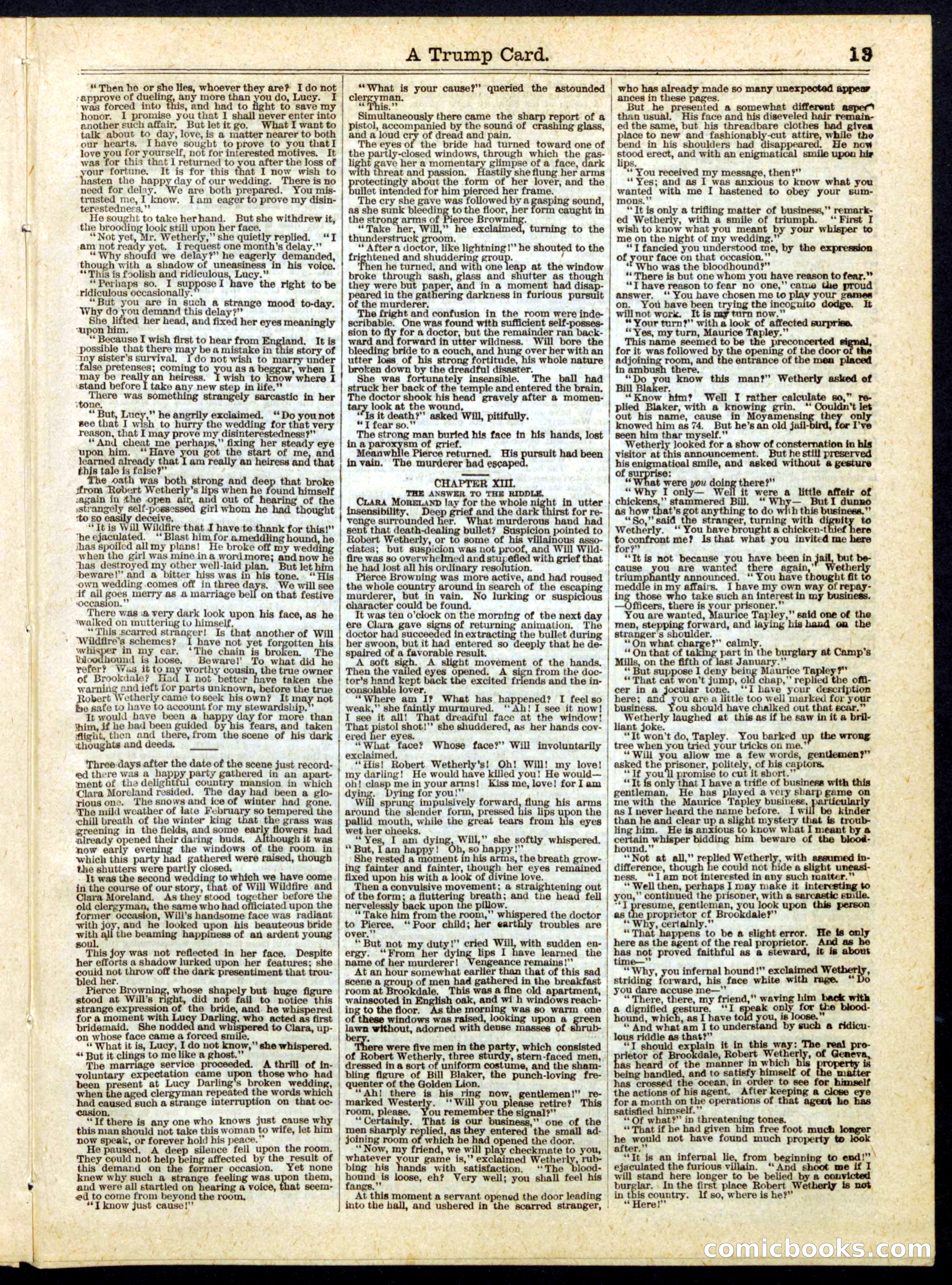 Beadle's Half Dime Library No. 170 — page 13 of 16