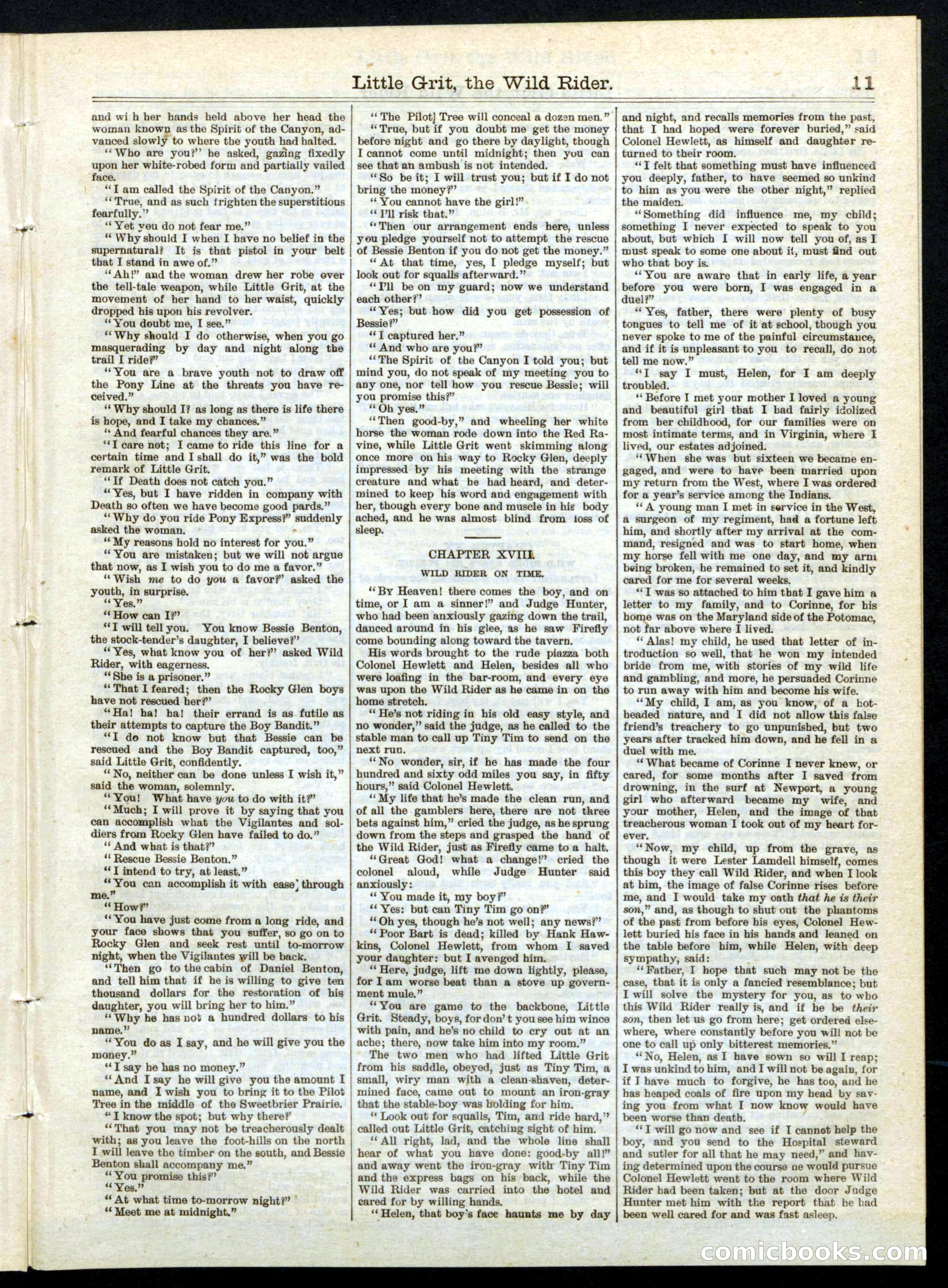 Beadle's Half Dime Library No. 197 — page 11 of 16