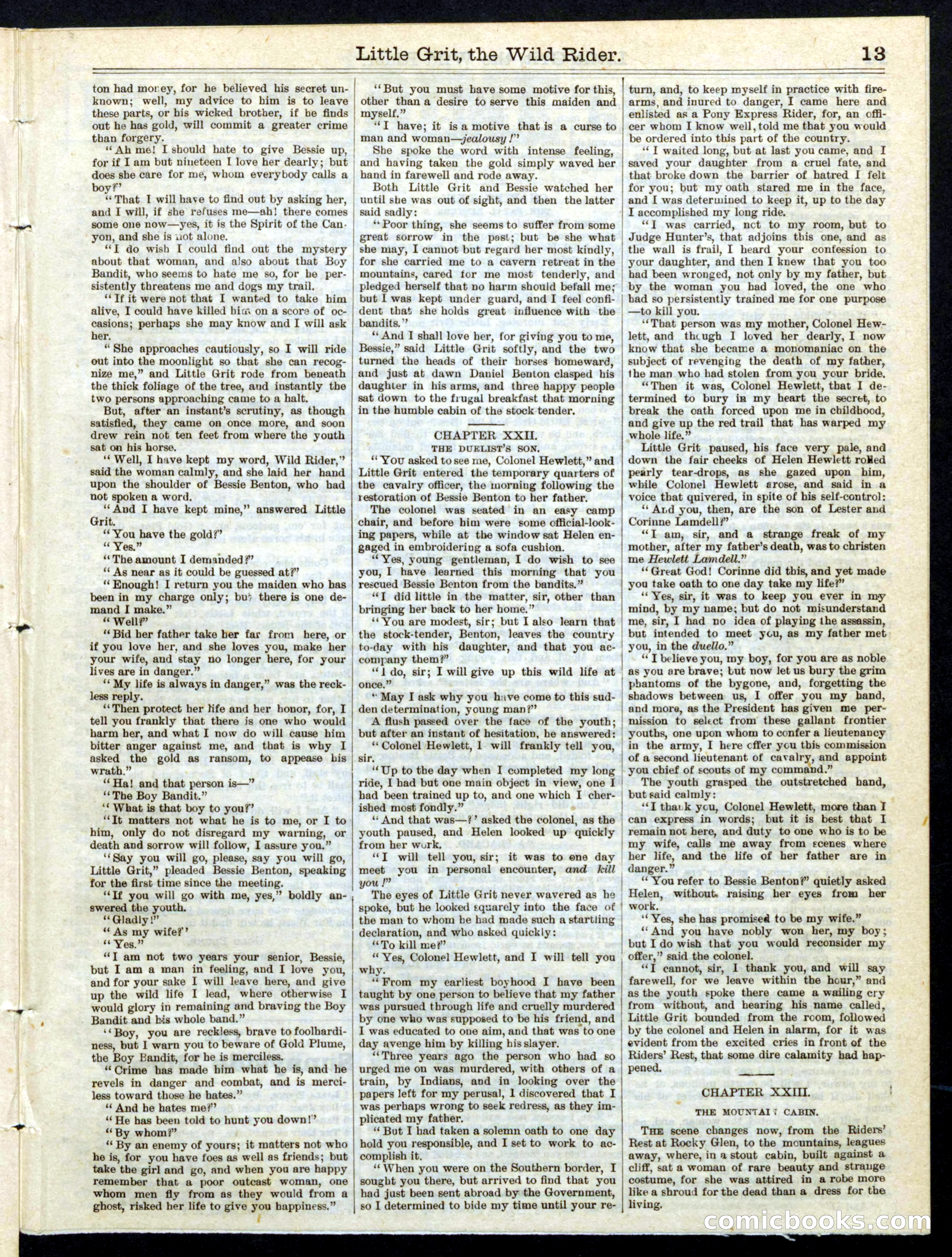 Beadle's Half Dime Library No. 197 — page 13 of 16