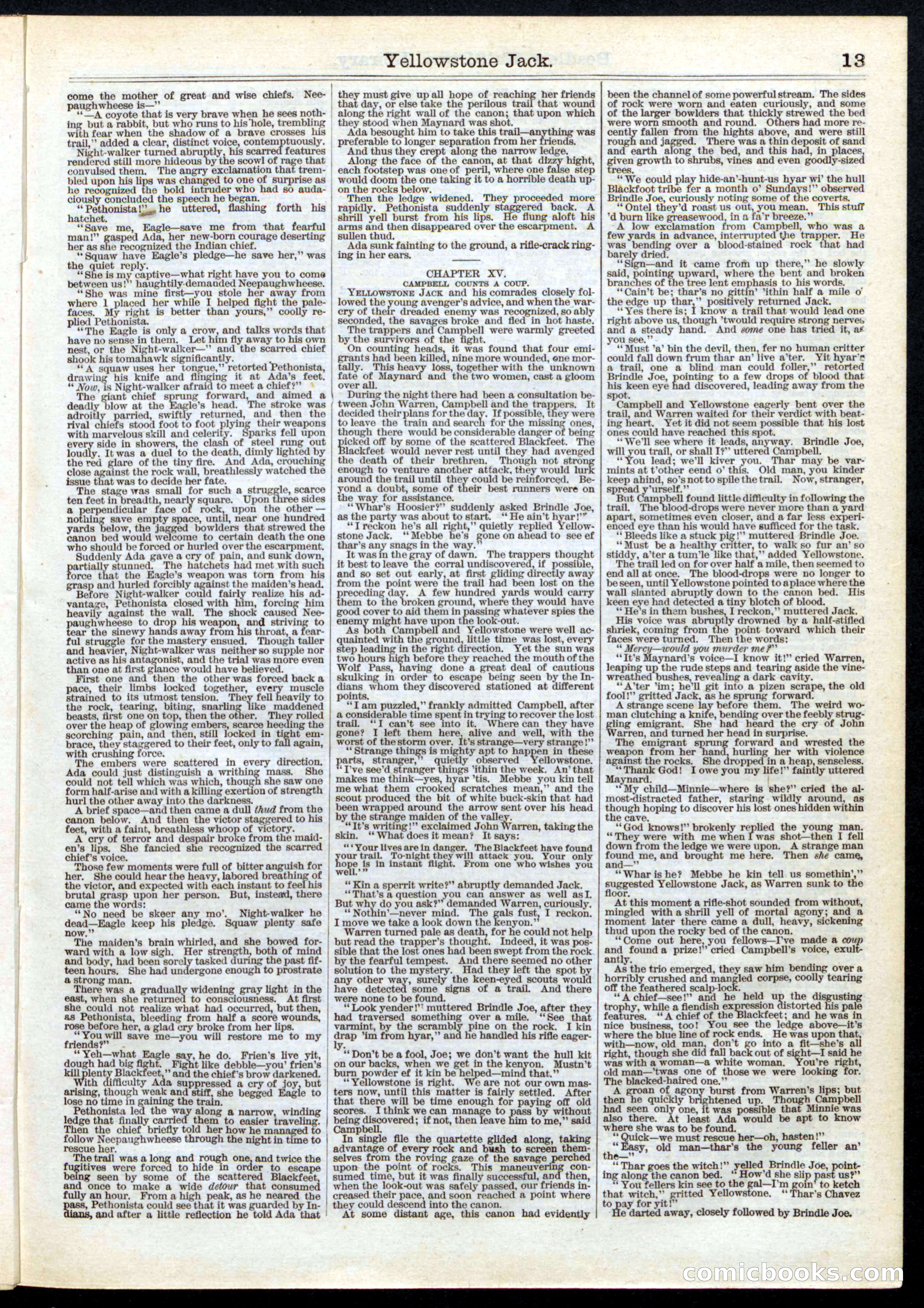 Beadle's Half Dime Library, Vol. 1, No. 2 — page 13 of 16