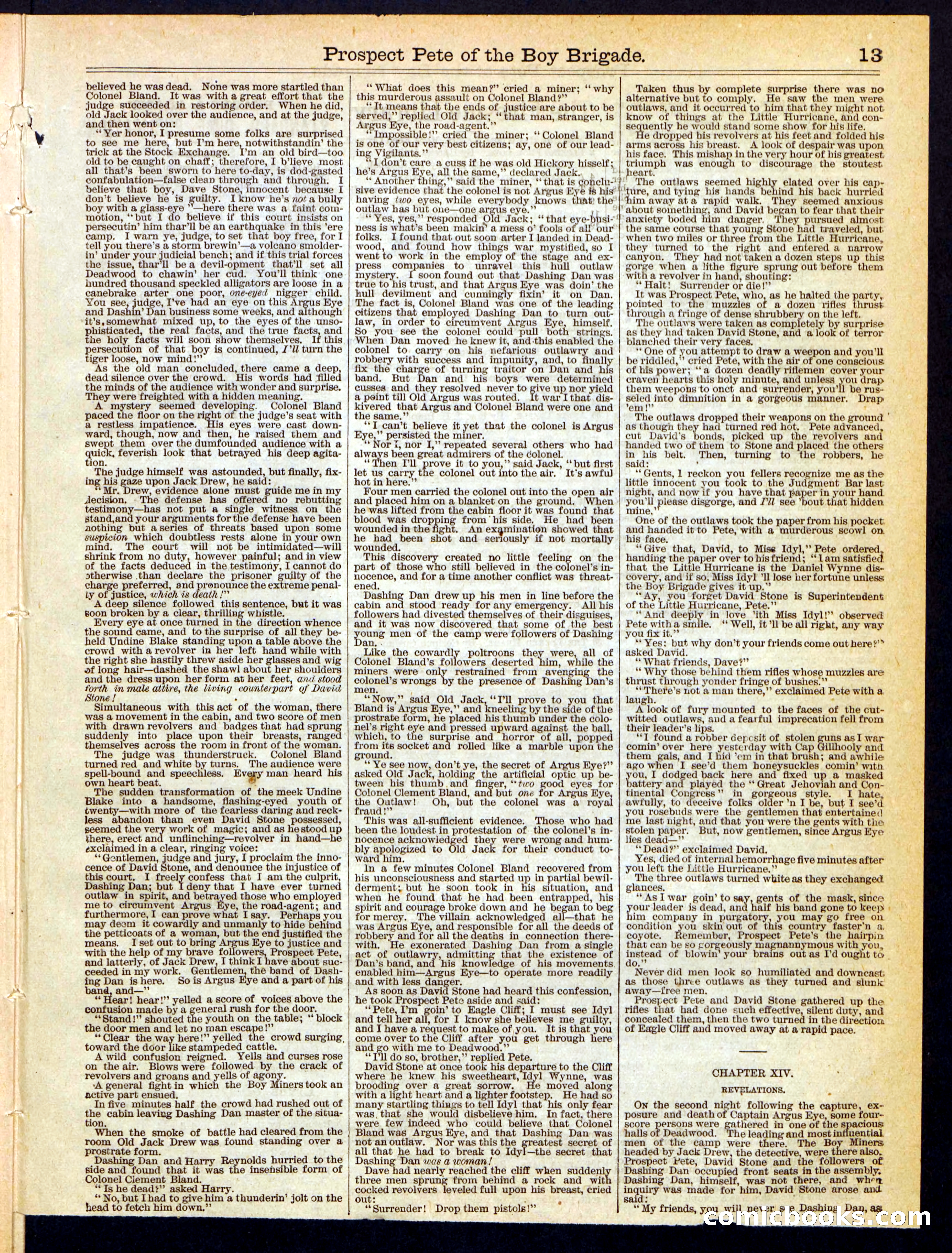 Beadle's Half Dime Library No. 202 — page 13 of 16
