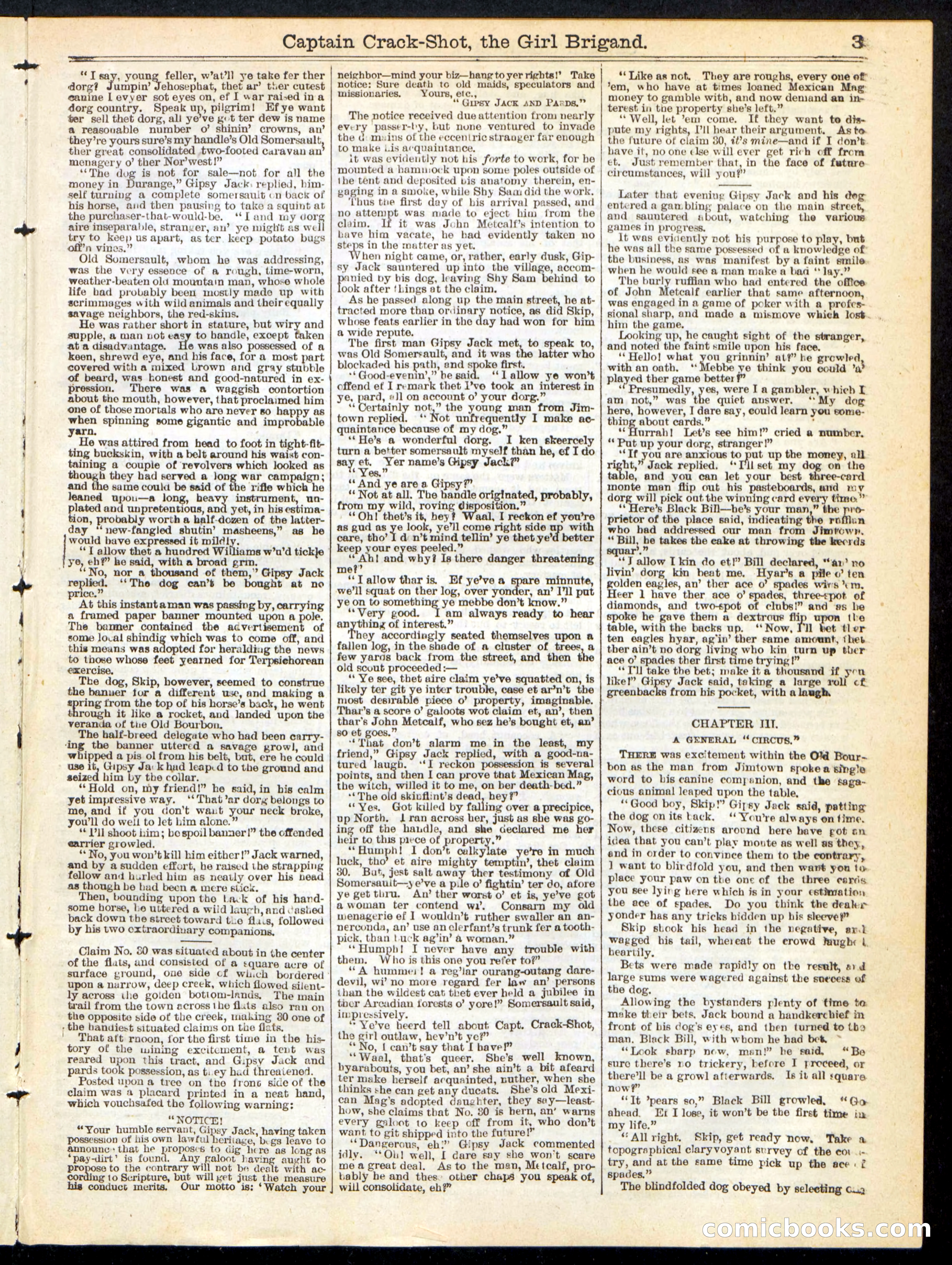 Beadle's Half Dime Library No. 217 — page 3 of 16
