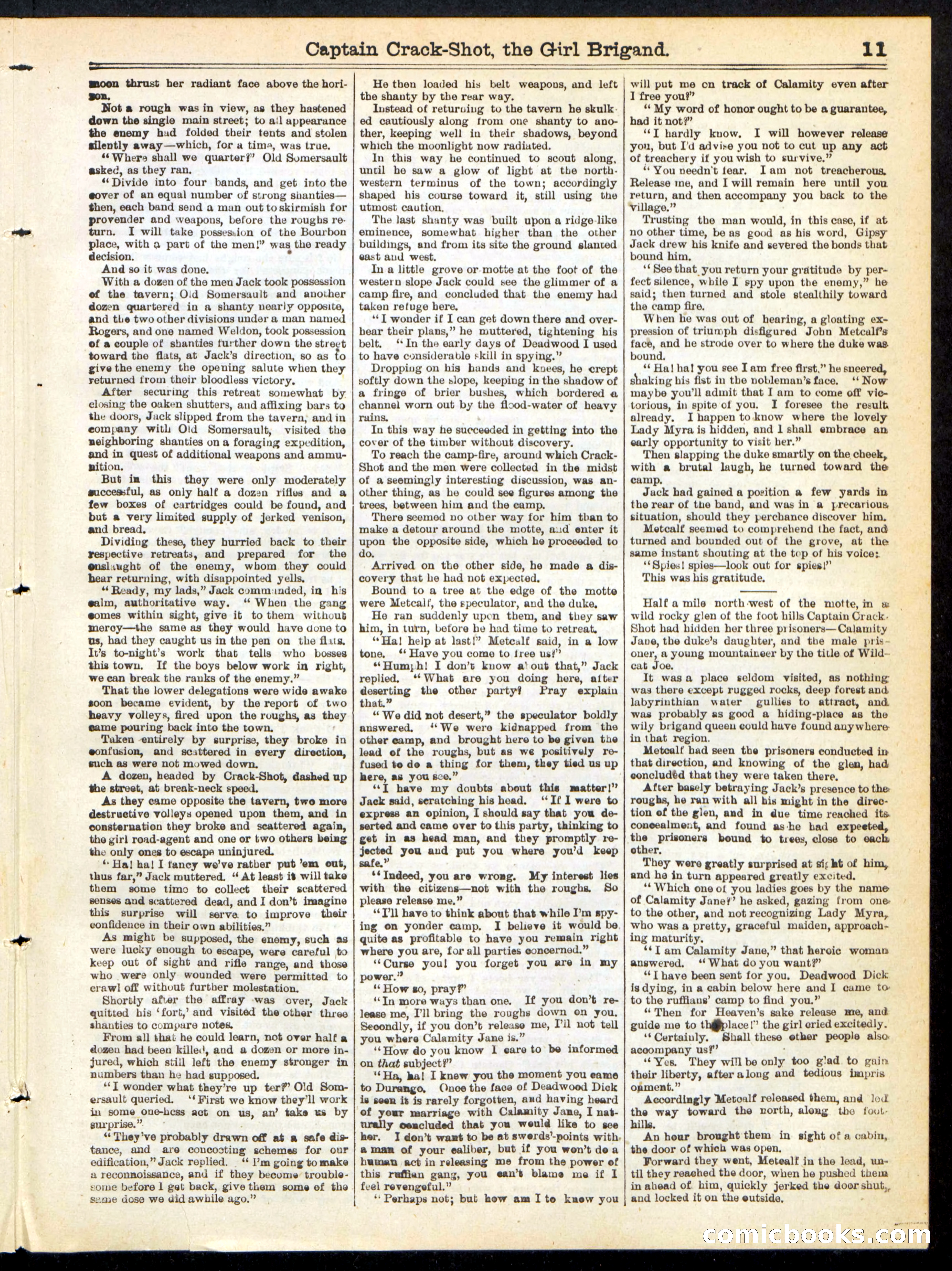 Beadle's Half Dime Library No. 217 — page 11 of 16