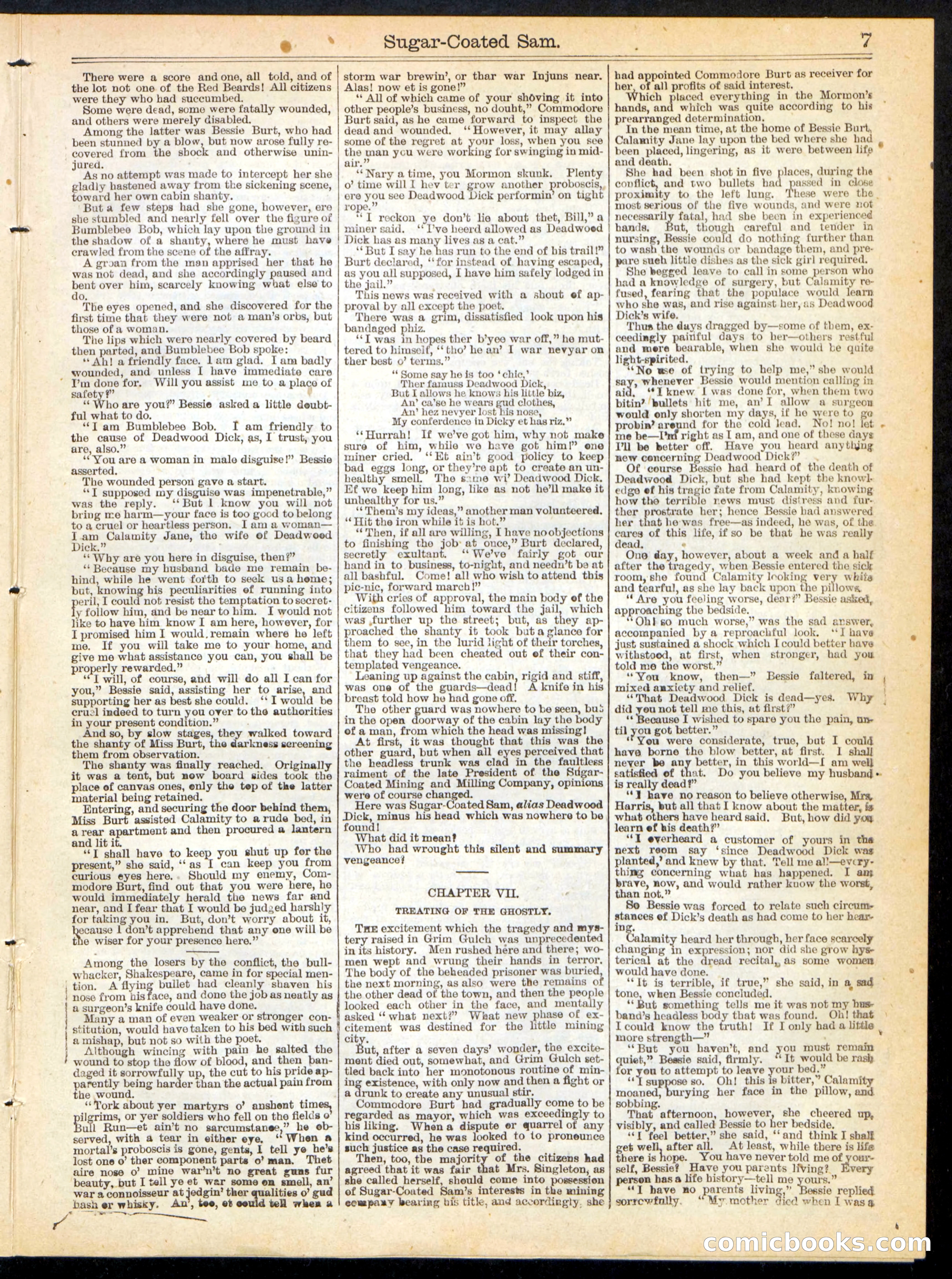 Beadle's Half Dime Library No. 221 — page 7 of 16