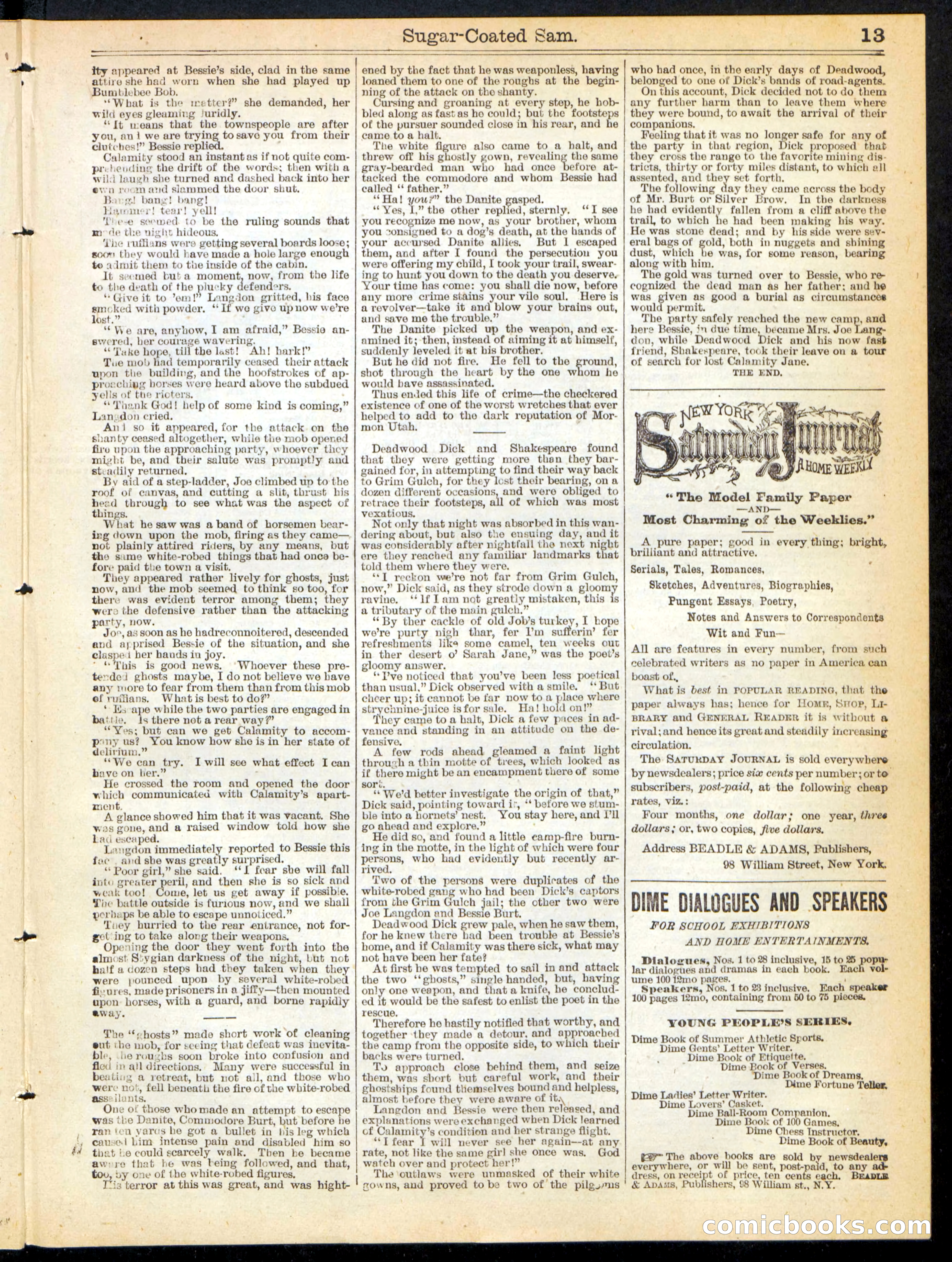 Beadle's Half Dime Library No. 221 — page 13 of 16