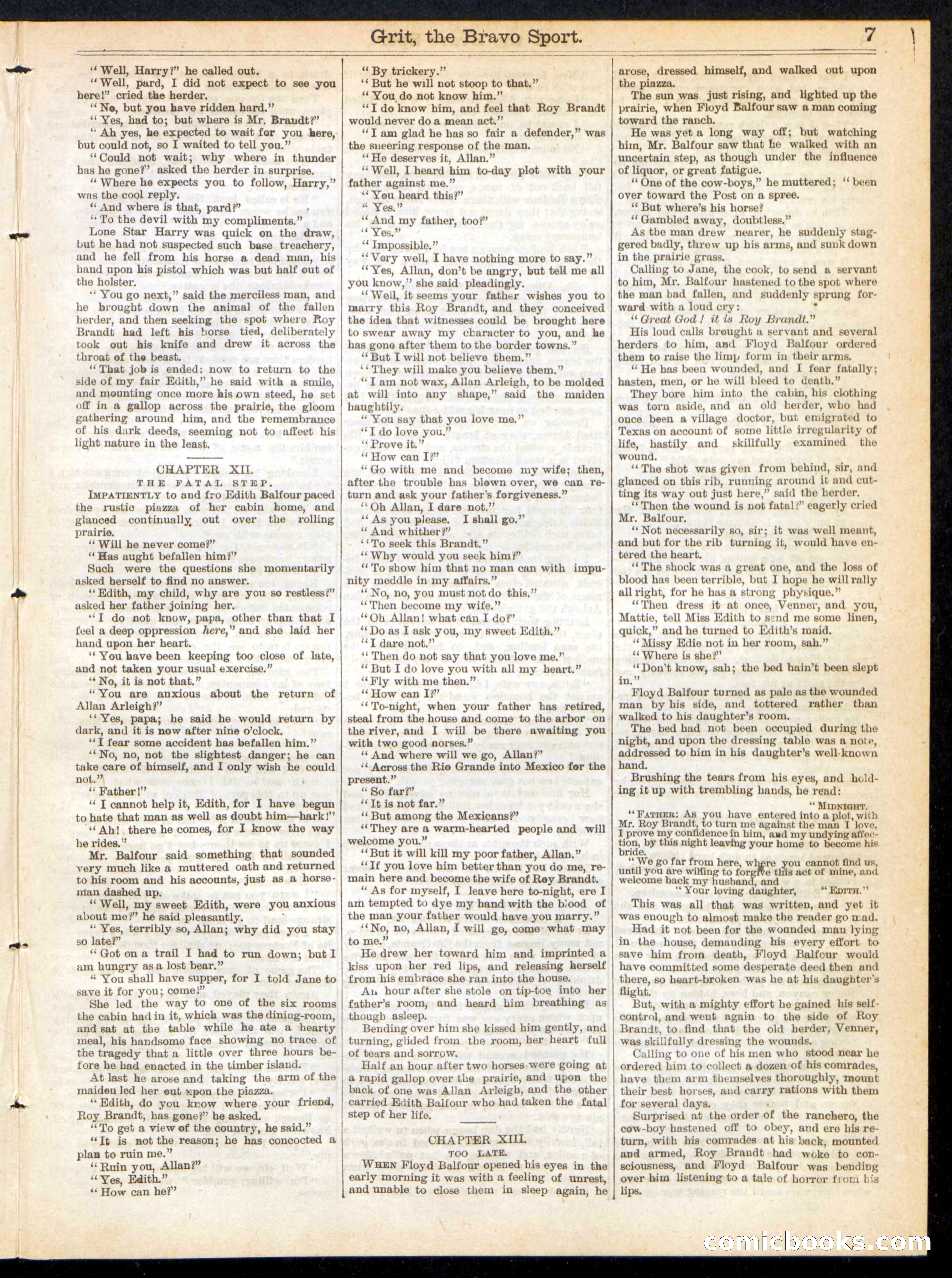Beadle's Half Dime Library, No. 222 — page 7 of 16