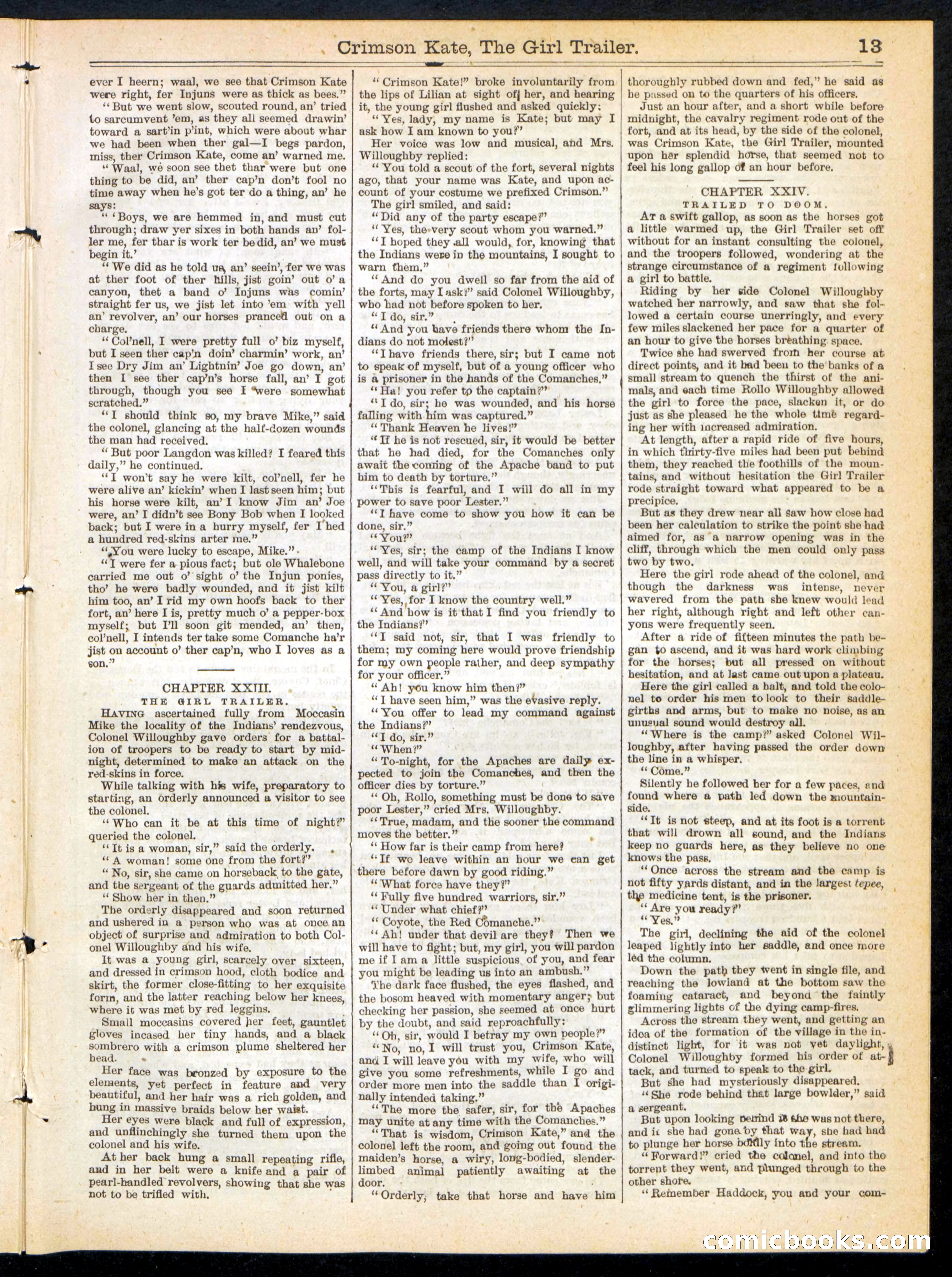 Beadle's Half Dime Library No. 229 — page 13 of 16