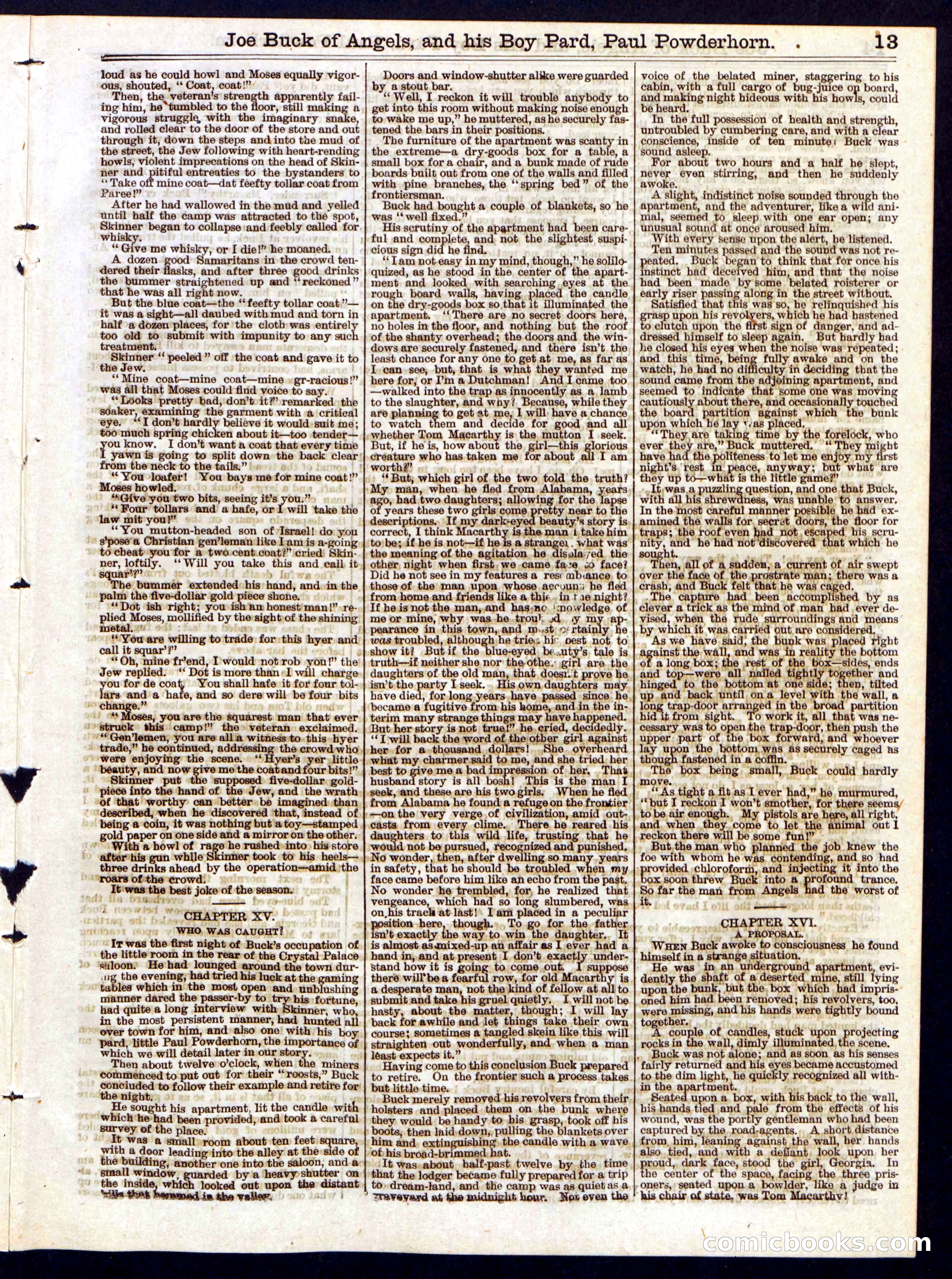 Beadle's Half Dime Library, No. 238 — page 13 of 16