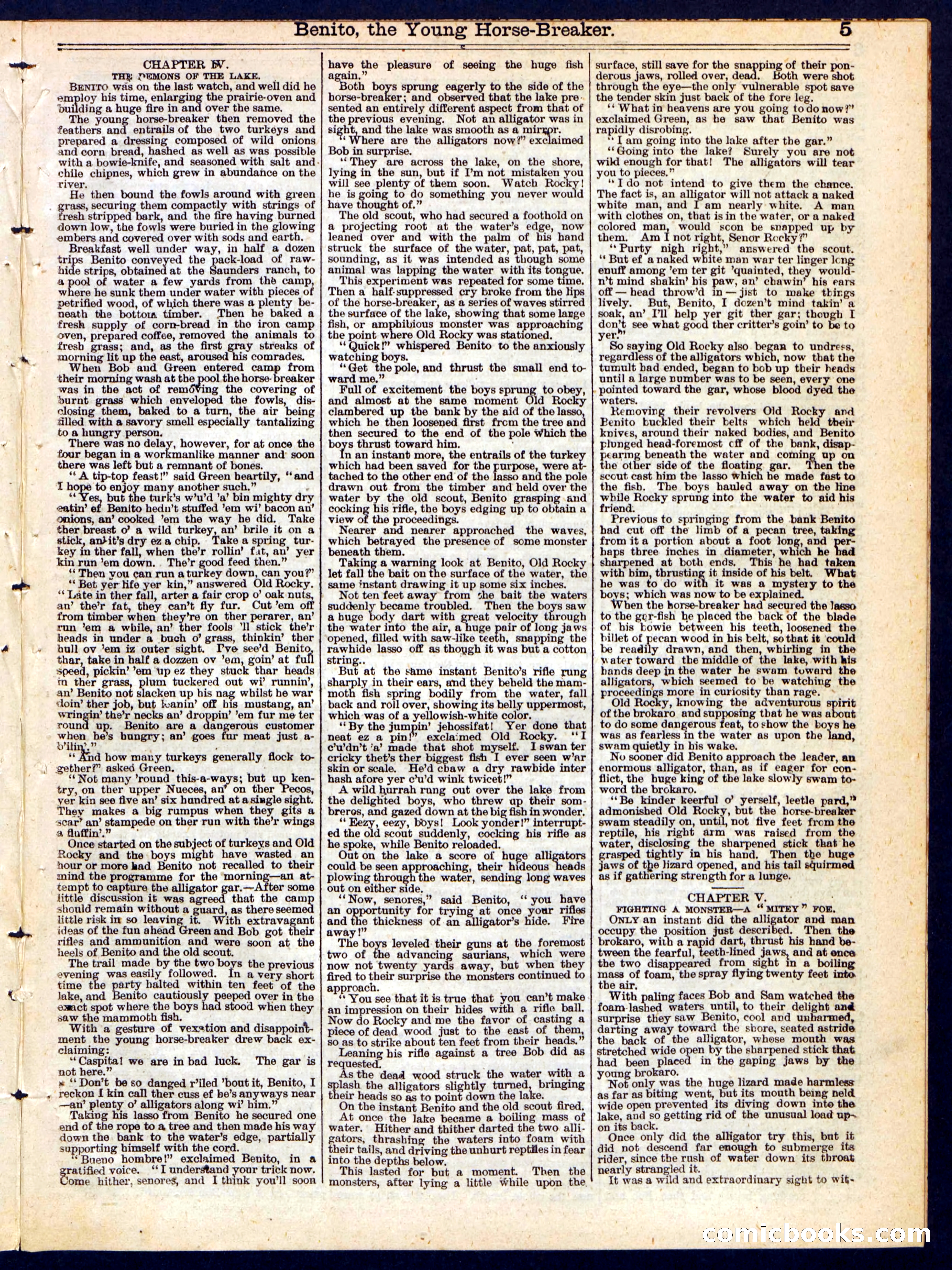 Beadle's Half Dime Library, No. 234 — page 5 of 20