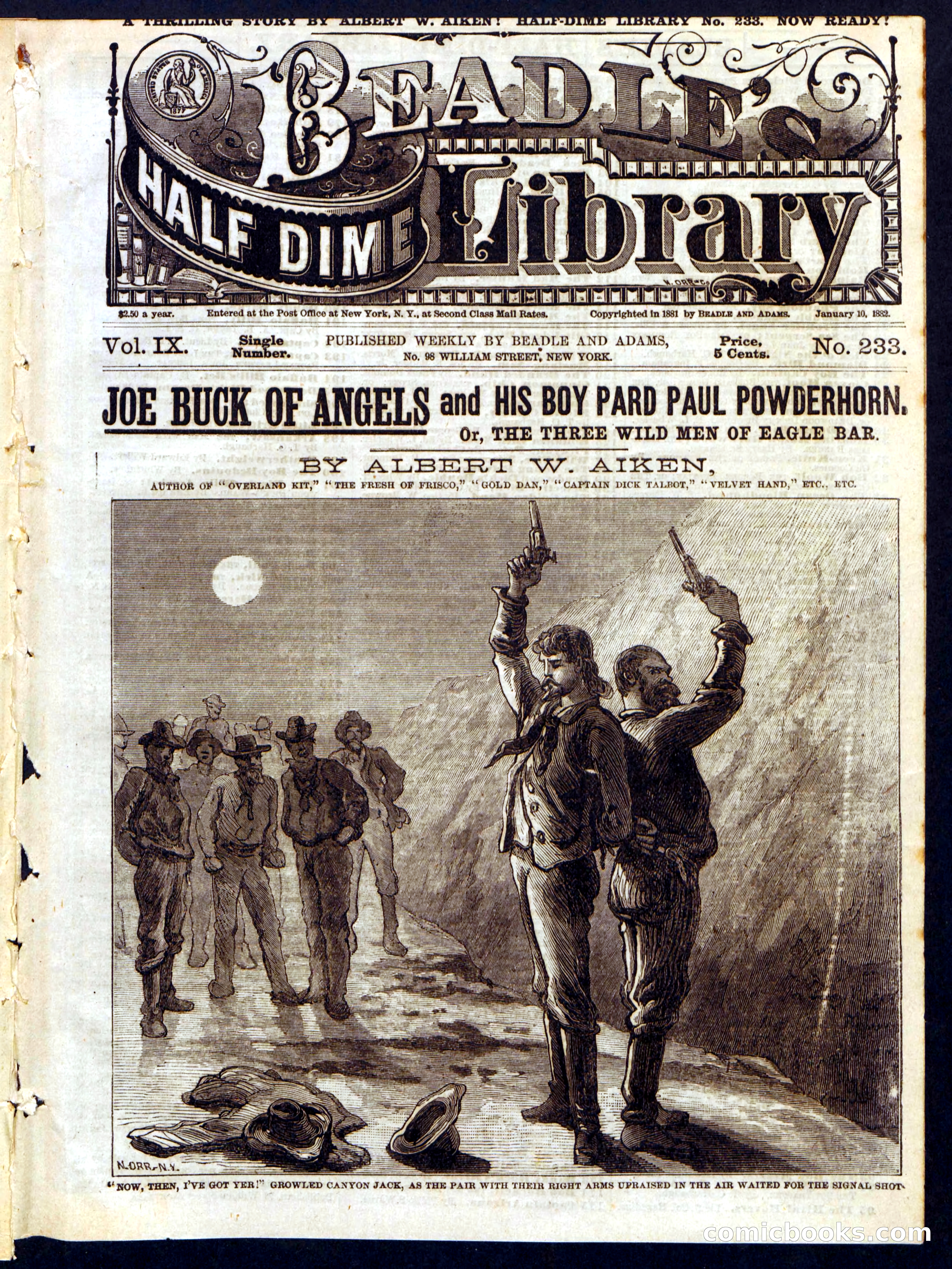 Beadle's Half Dime Library, No. 234 — page 17 of 20