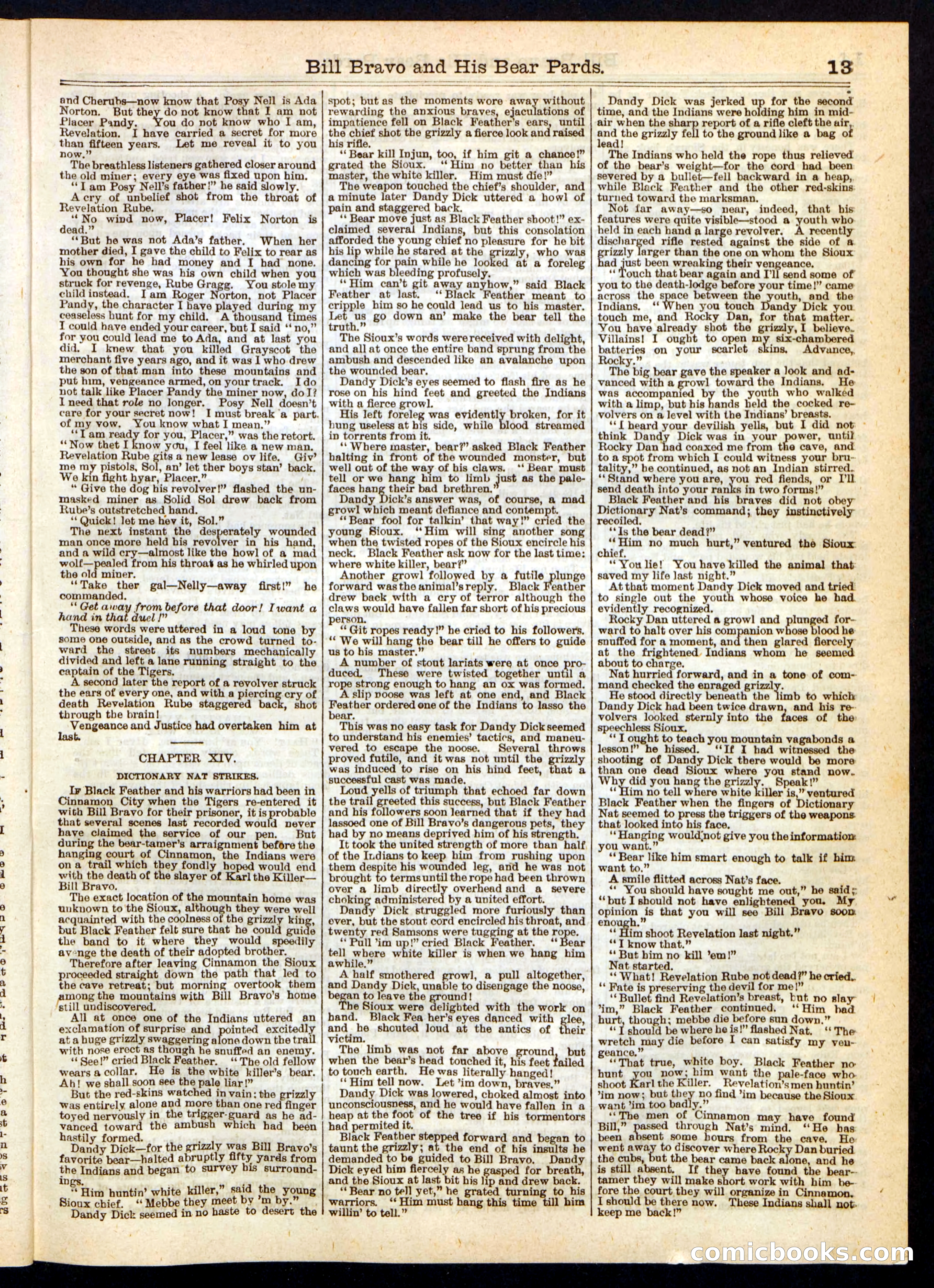 Beadle's Half Dime Library No. 241 — page 13 of 16