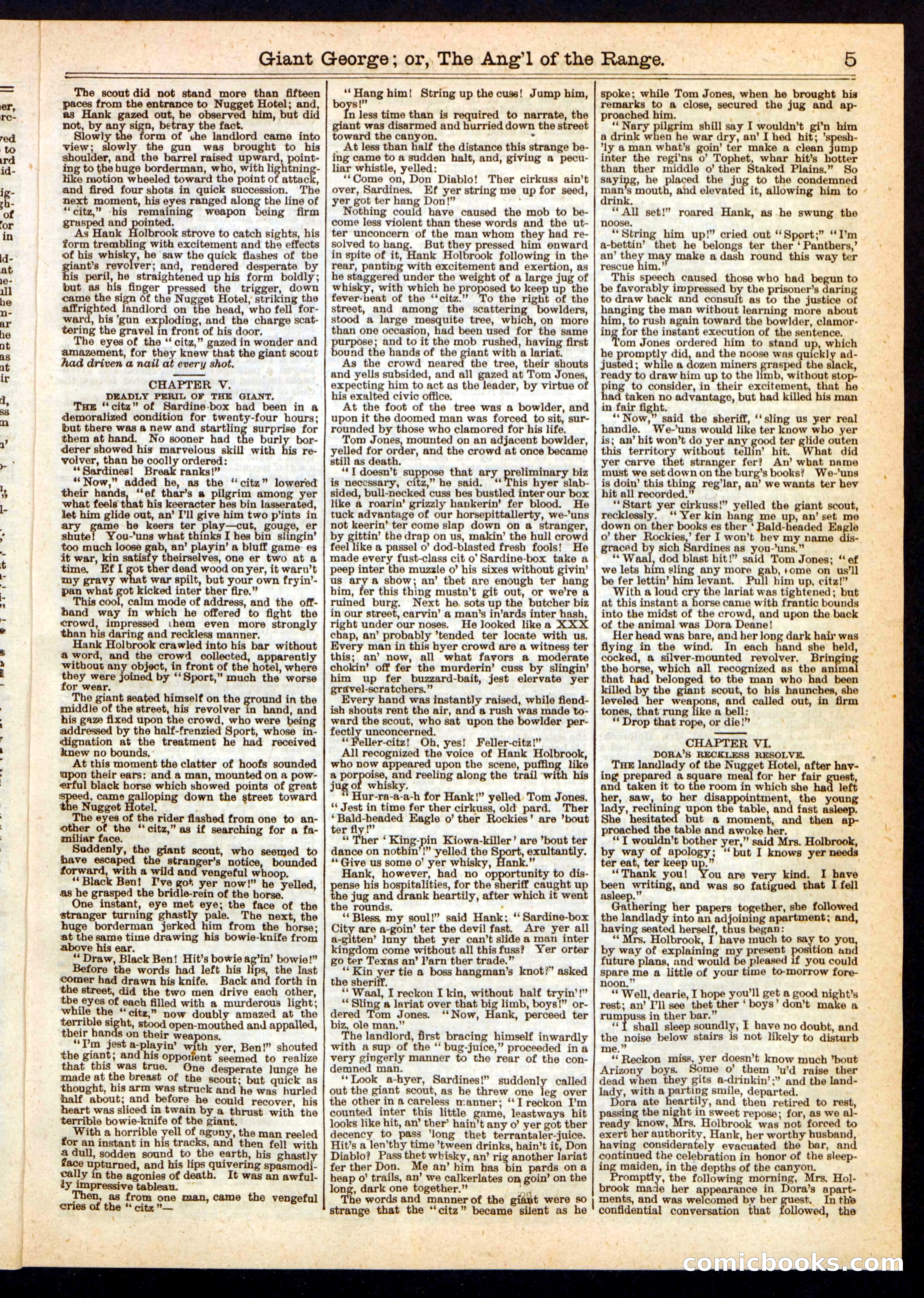 Beadle's Half Dime Library, No. 246 — page 5 of 16