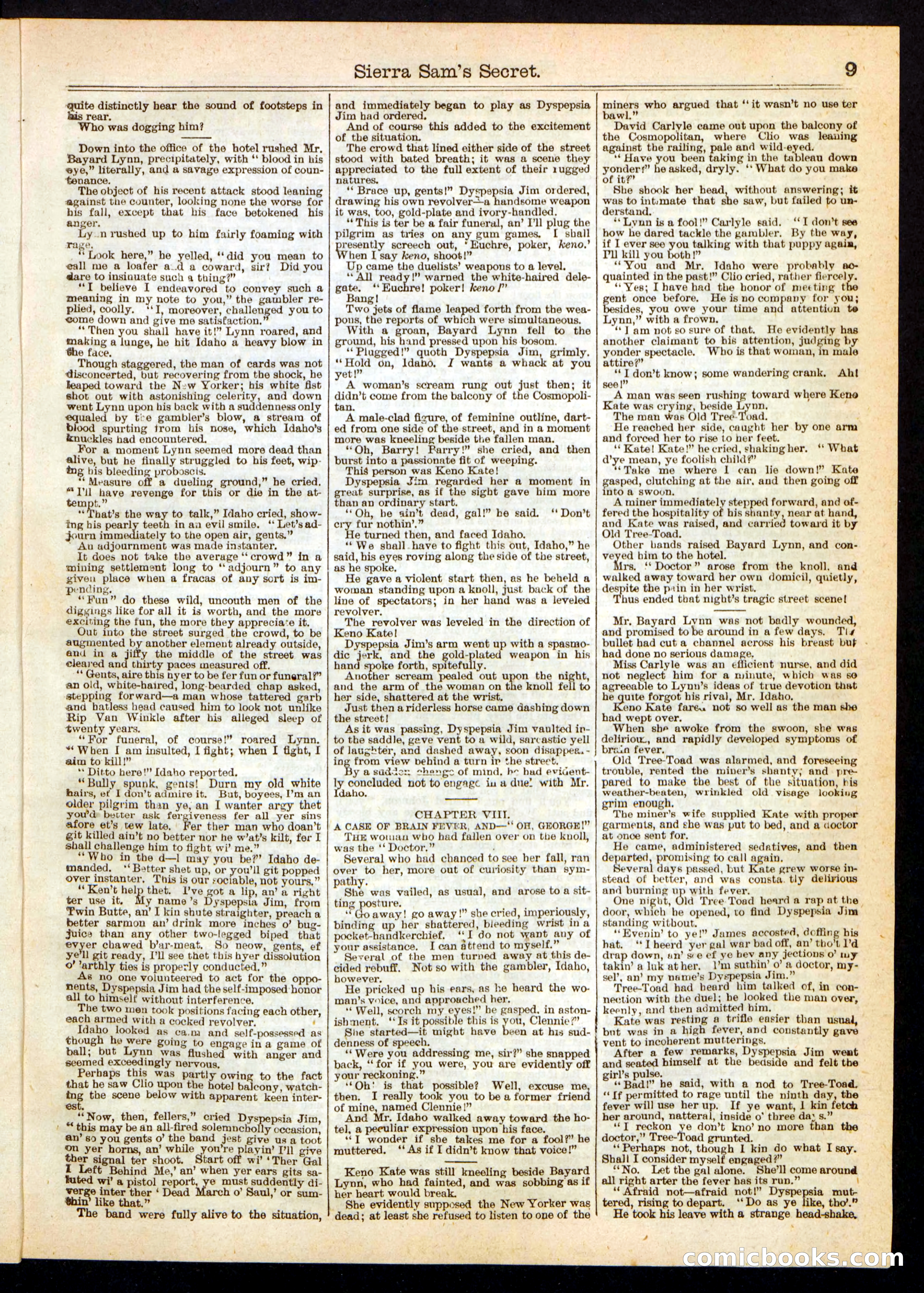 Beadle's Half Dime Library, No. 248 — page 9 of 16