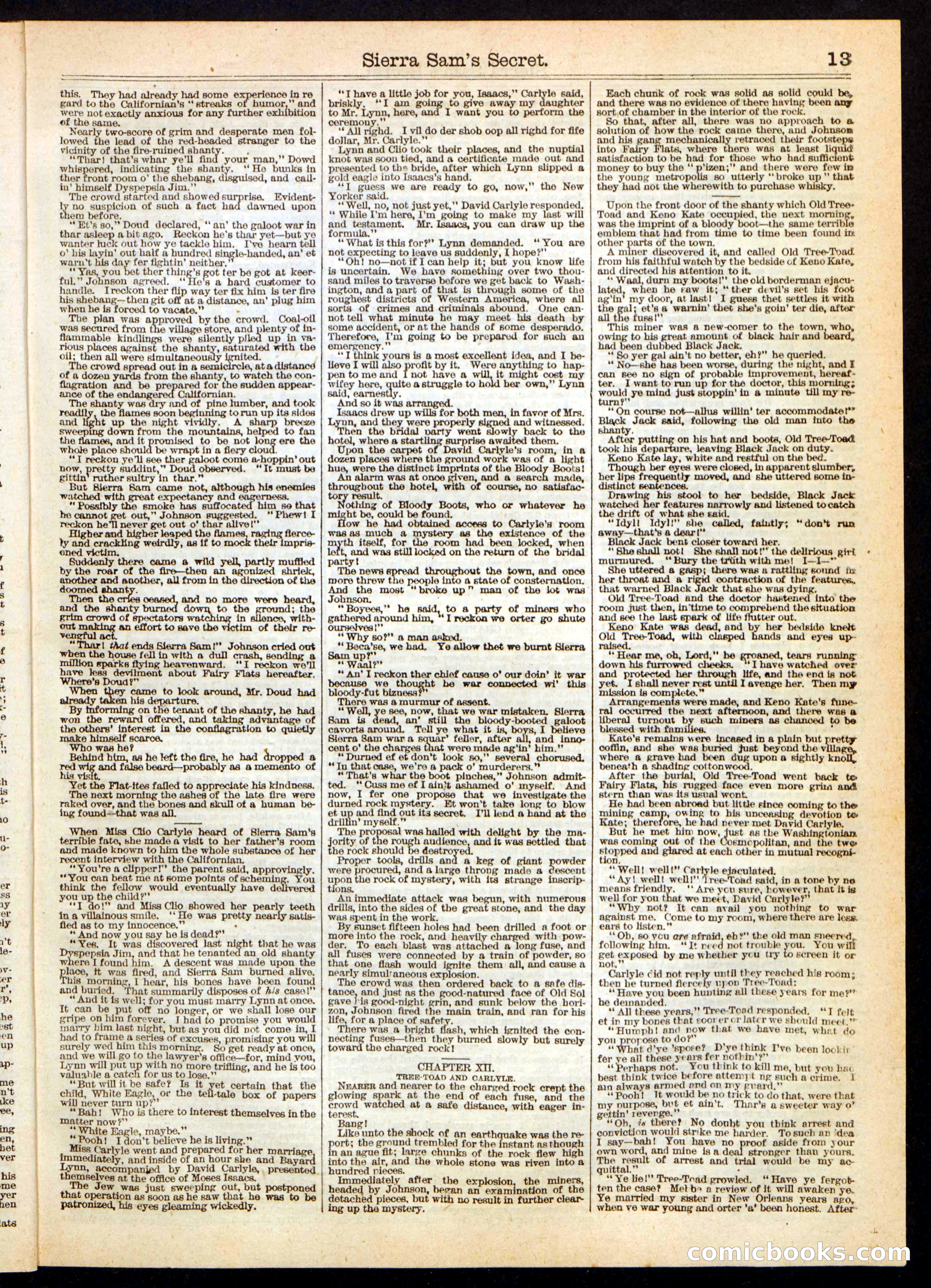 Beadle's Half Dime Library, No. 248 — page 13 of 16