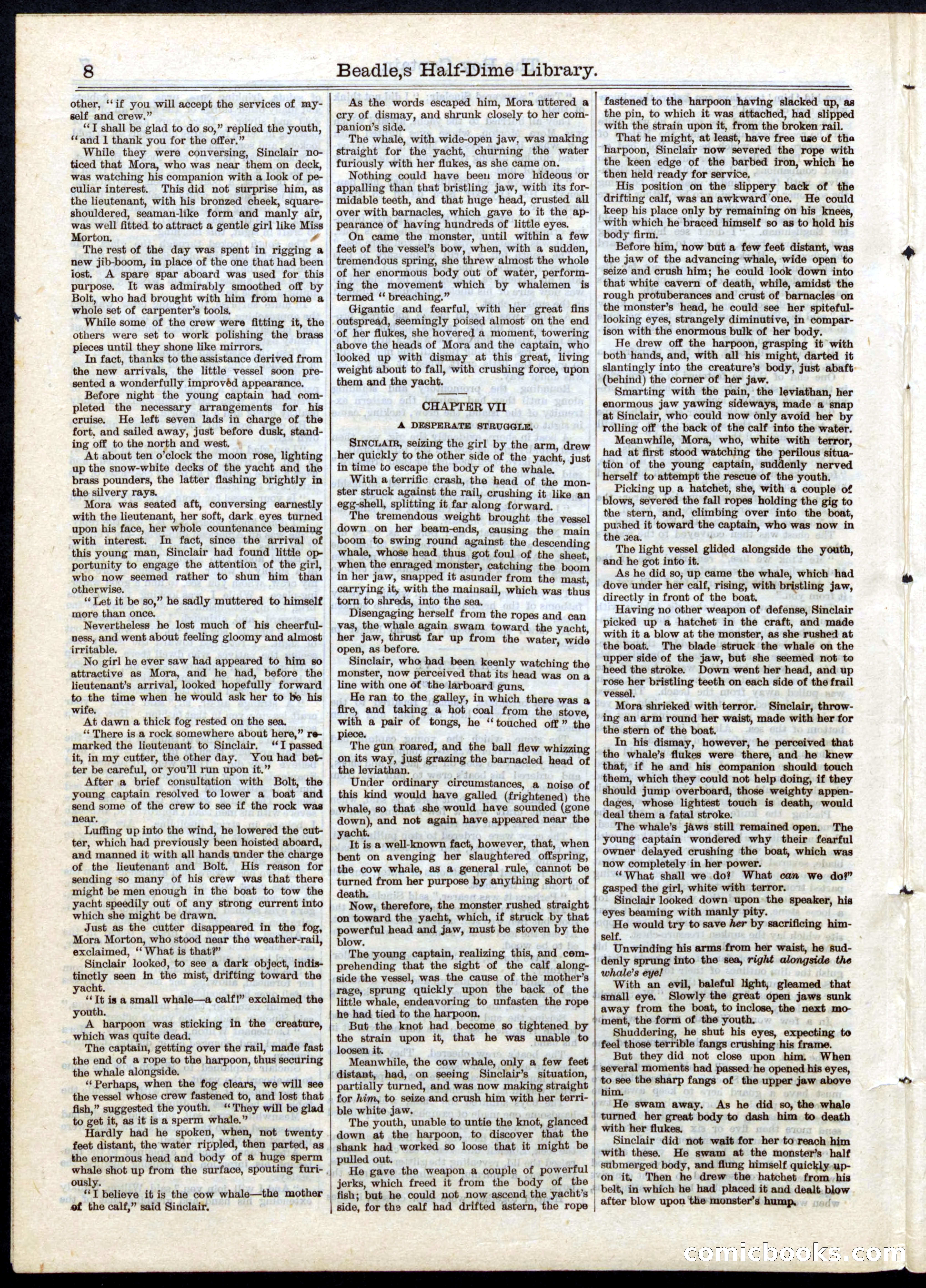 Beadle's Half Dime Library, No. 25 — page 8 of 20
