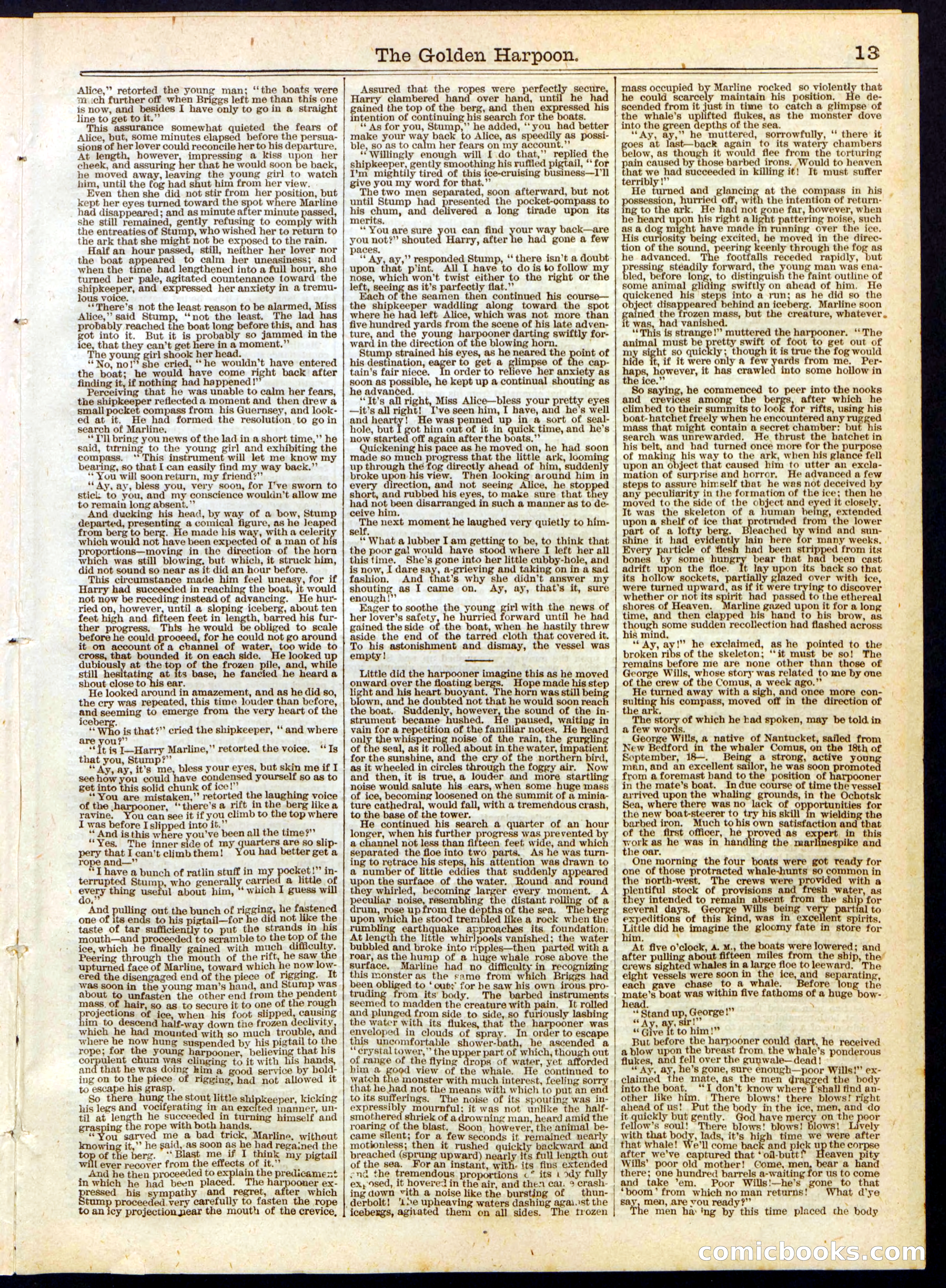 Beadle's Half Dime Library No. 359 — page 13 of 16