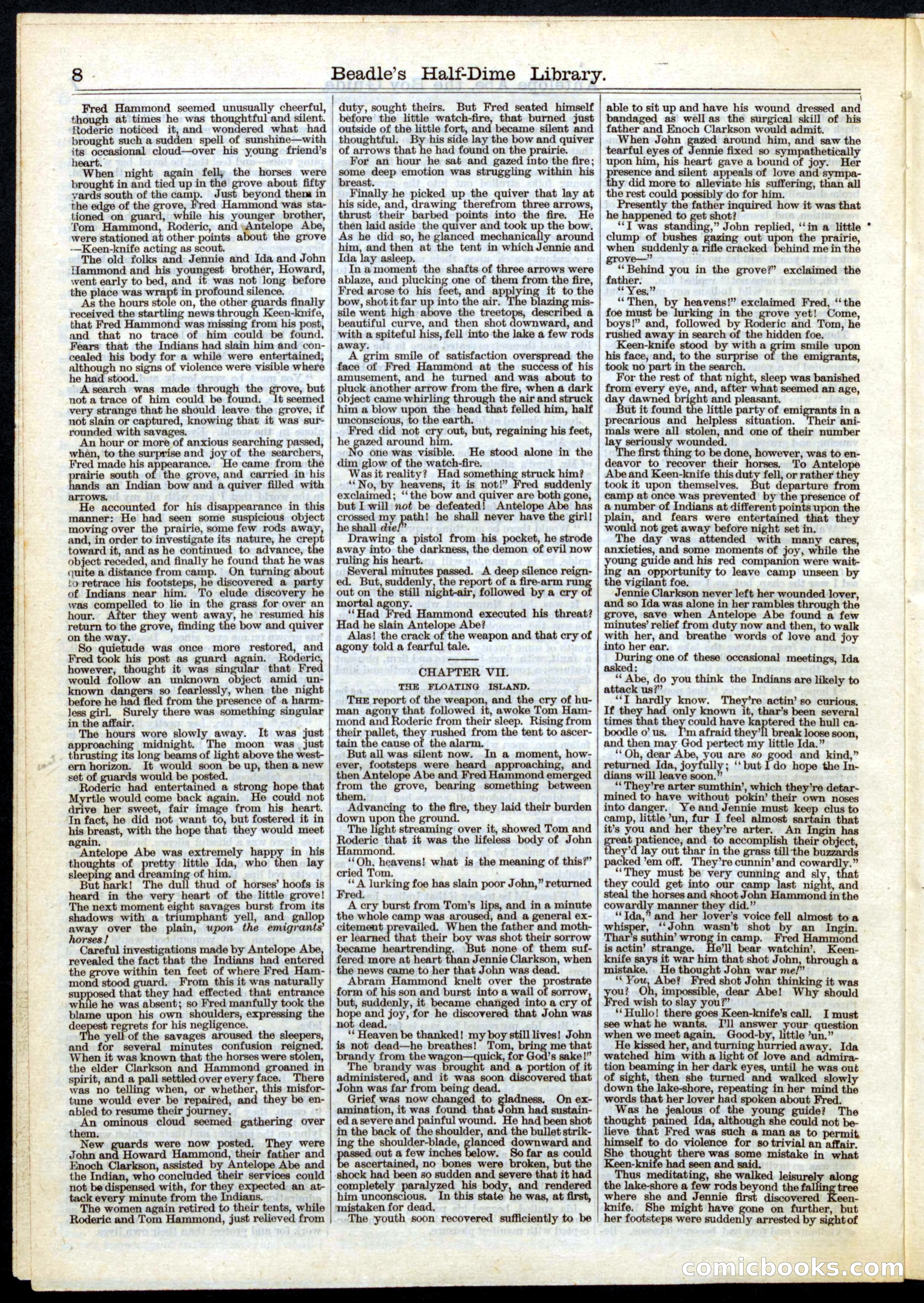 Beadle's Half Dime Library, No. 27 — page 8 of 16