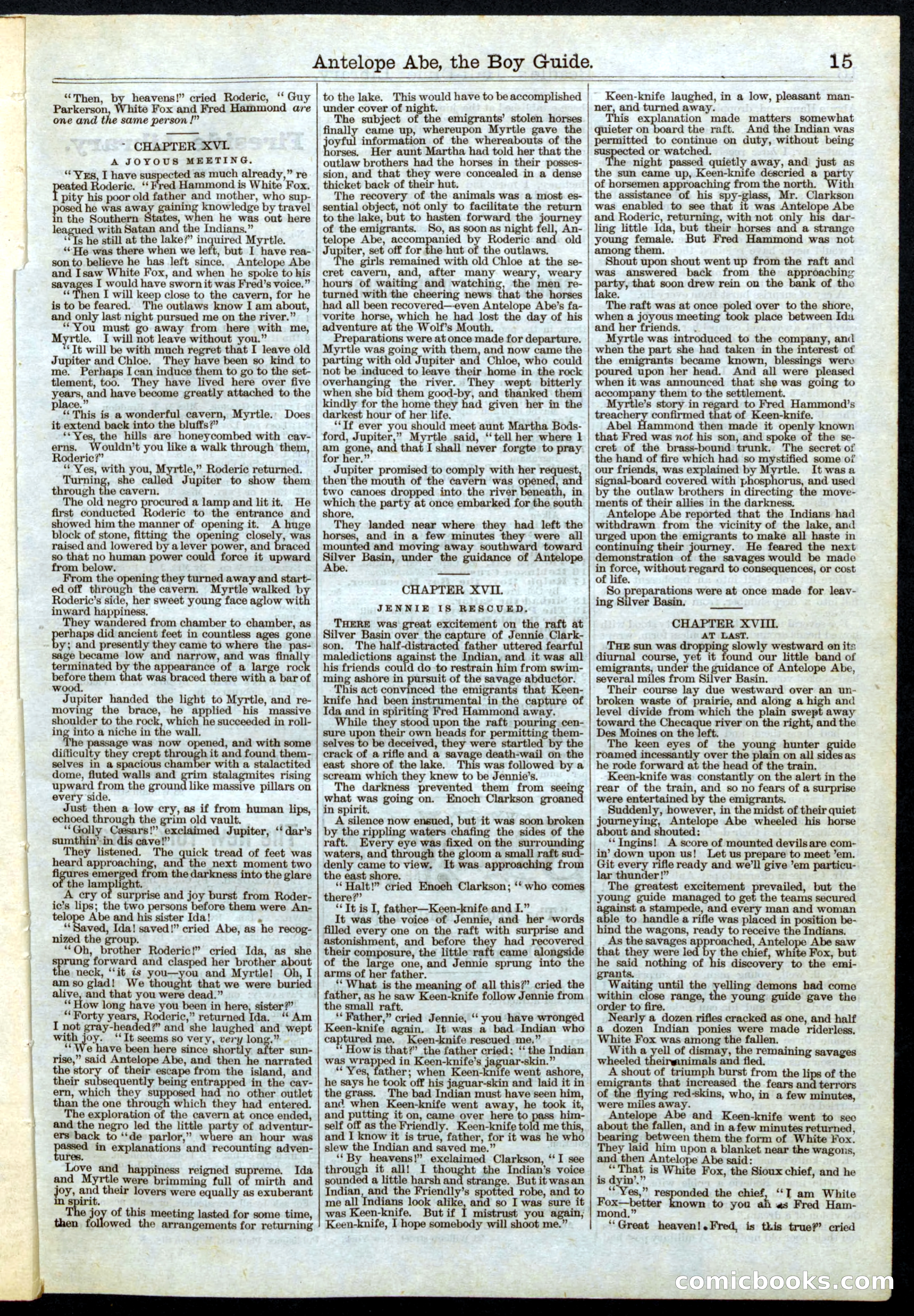 Beadle's Half Dime Library, No. 27 — page 15 of 16