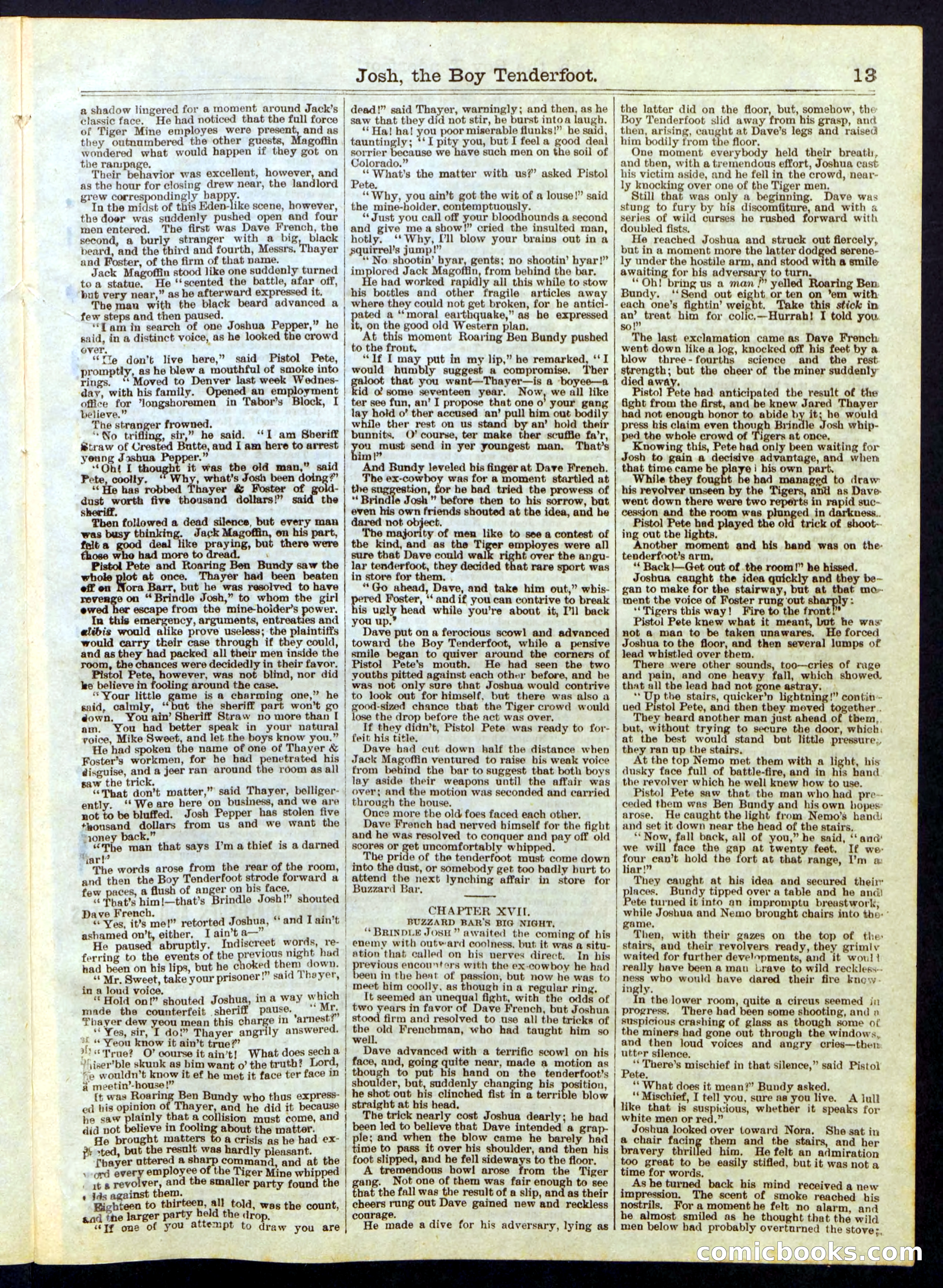 Beadle's Half Dime Library, No. 286 — page 13 of 16