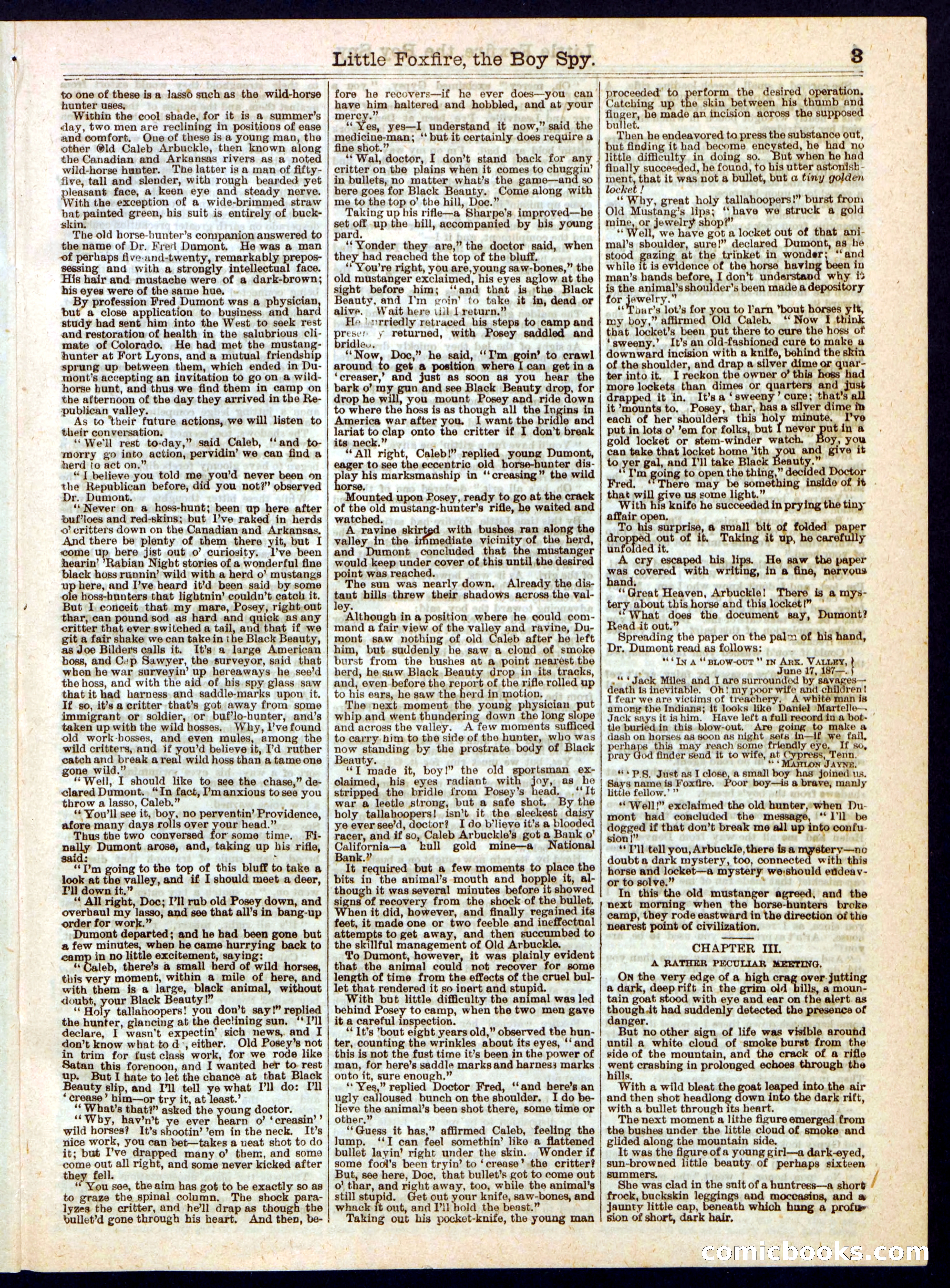 Beadle's Half Dime Library, No. 290 — page 3 of 16