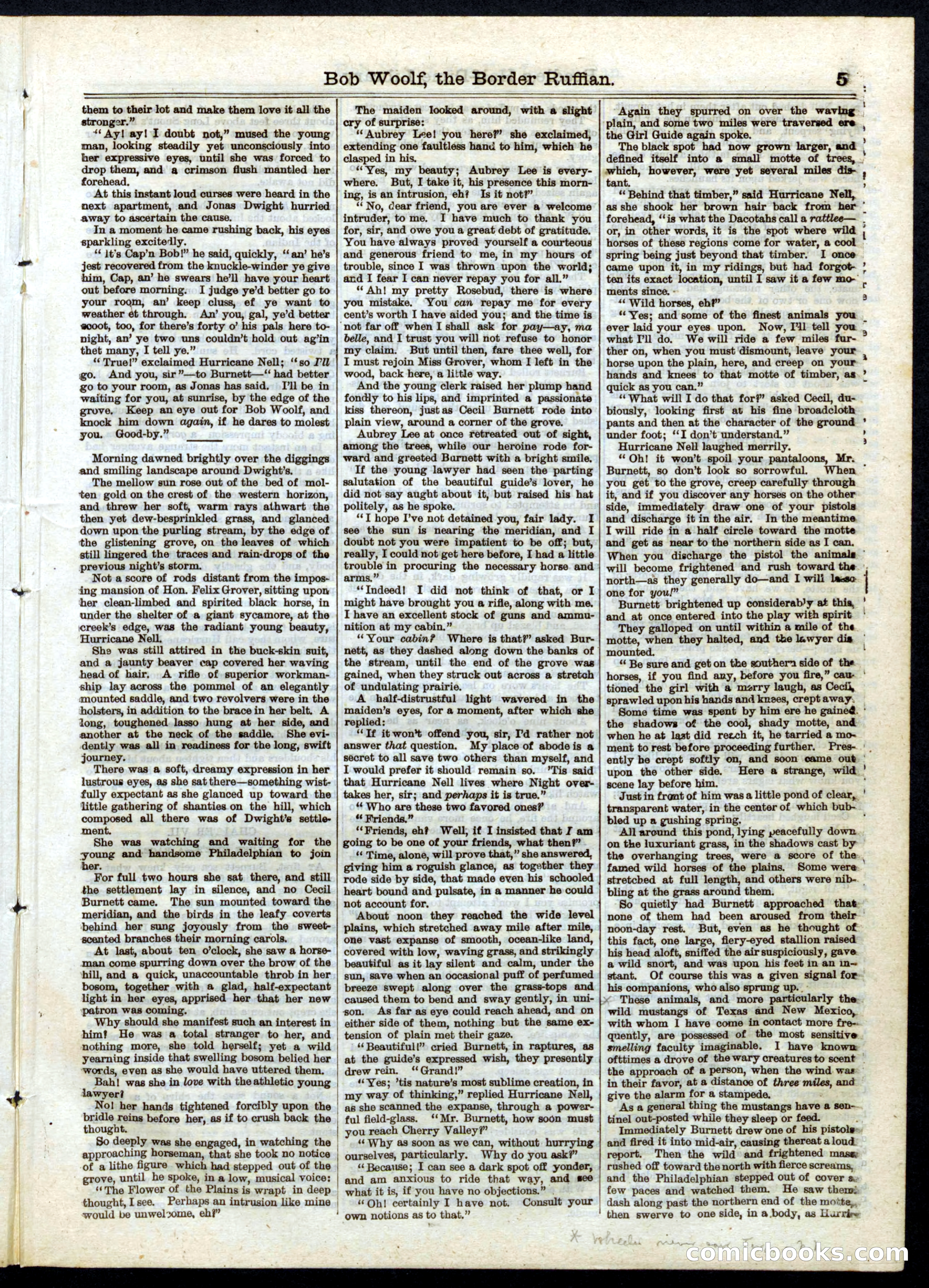 Beadle's Half Dime Library No. 32 — page 5 of 20