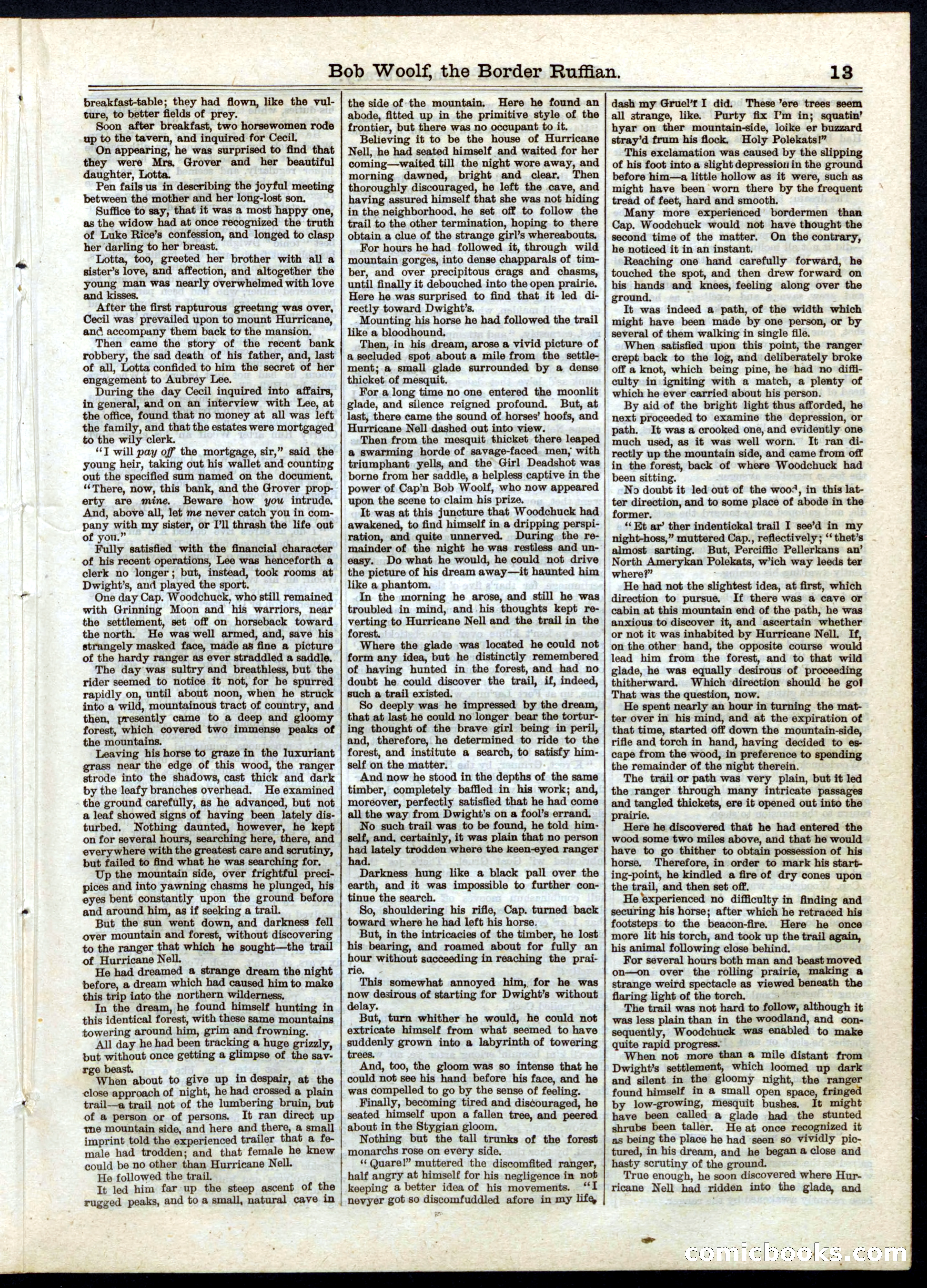 Beadle's Half Dime Library No. 32 — page 13 of 20
