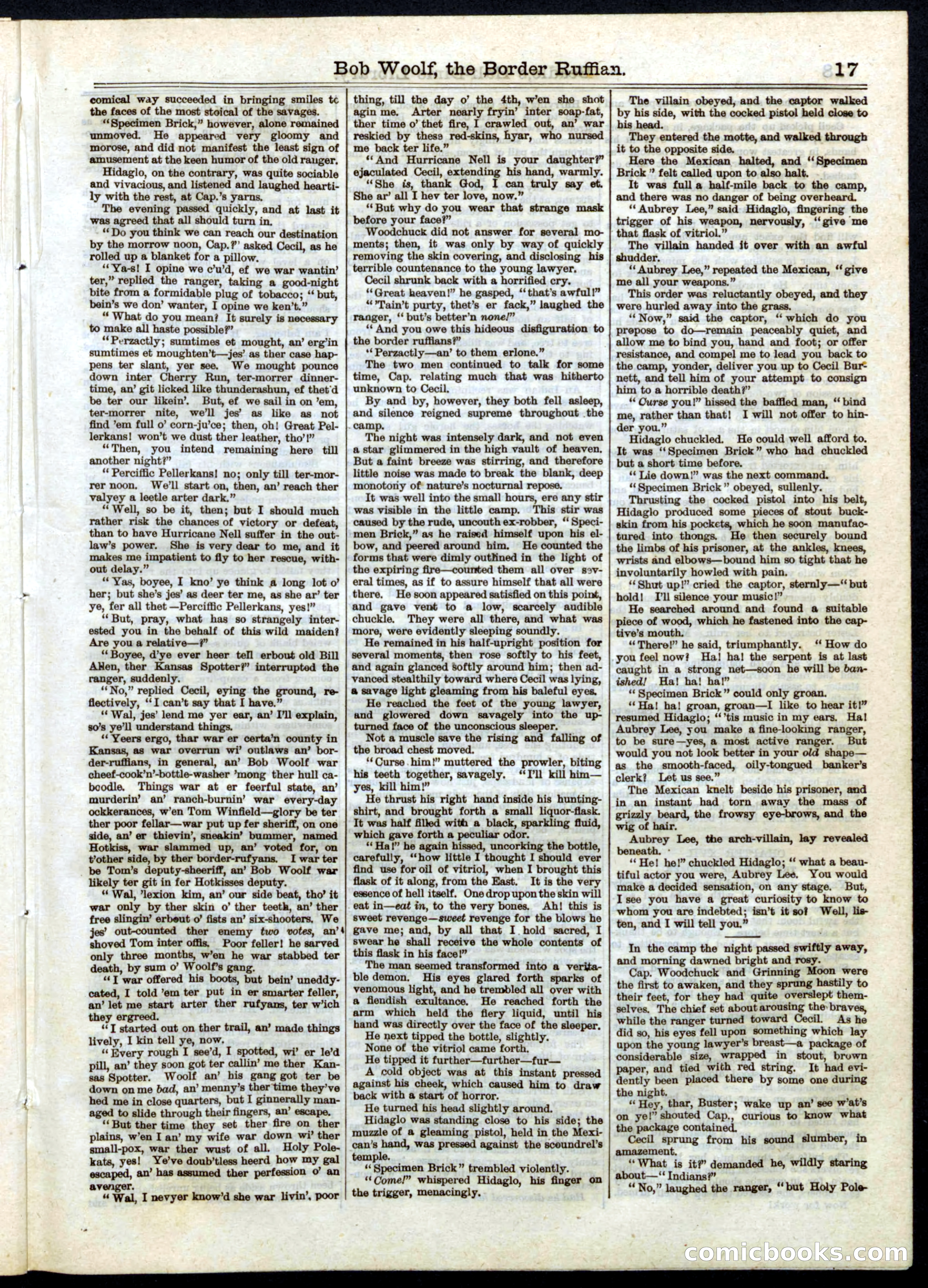 Beadle's Half Dime Library No. 32 — page 17 of 20