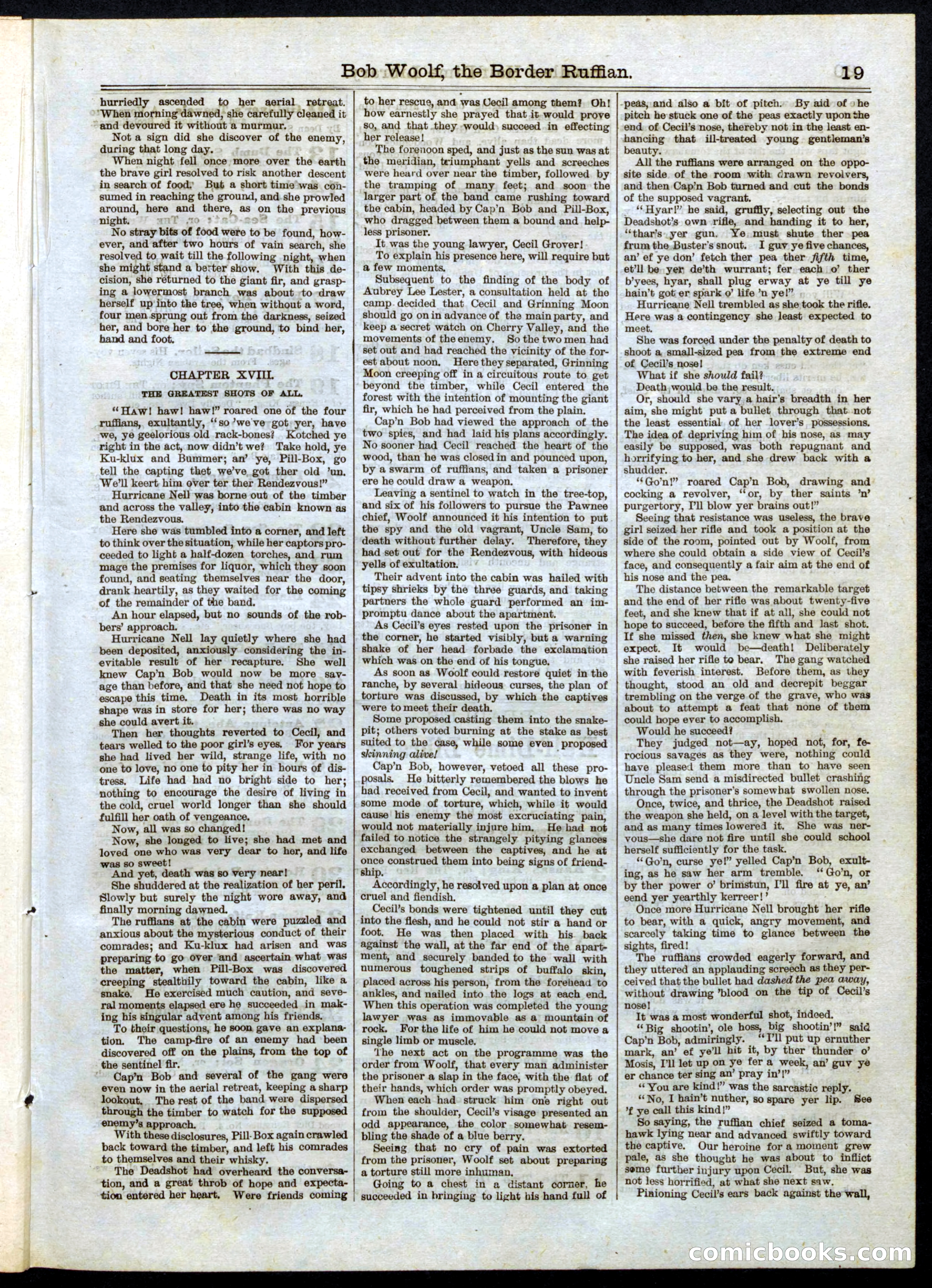 Beadle's Half Dime Library No. 32 — page 19 of 20