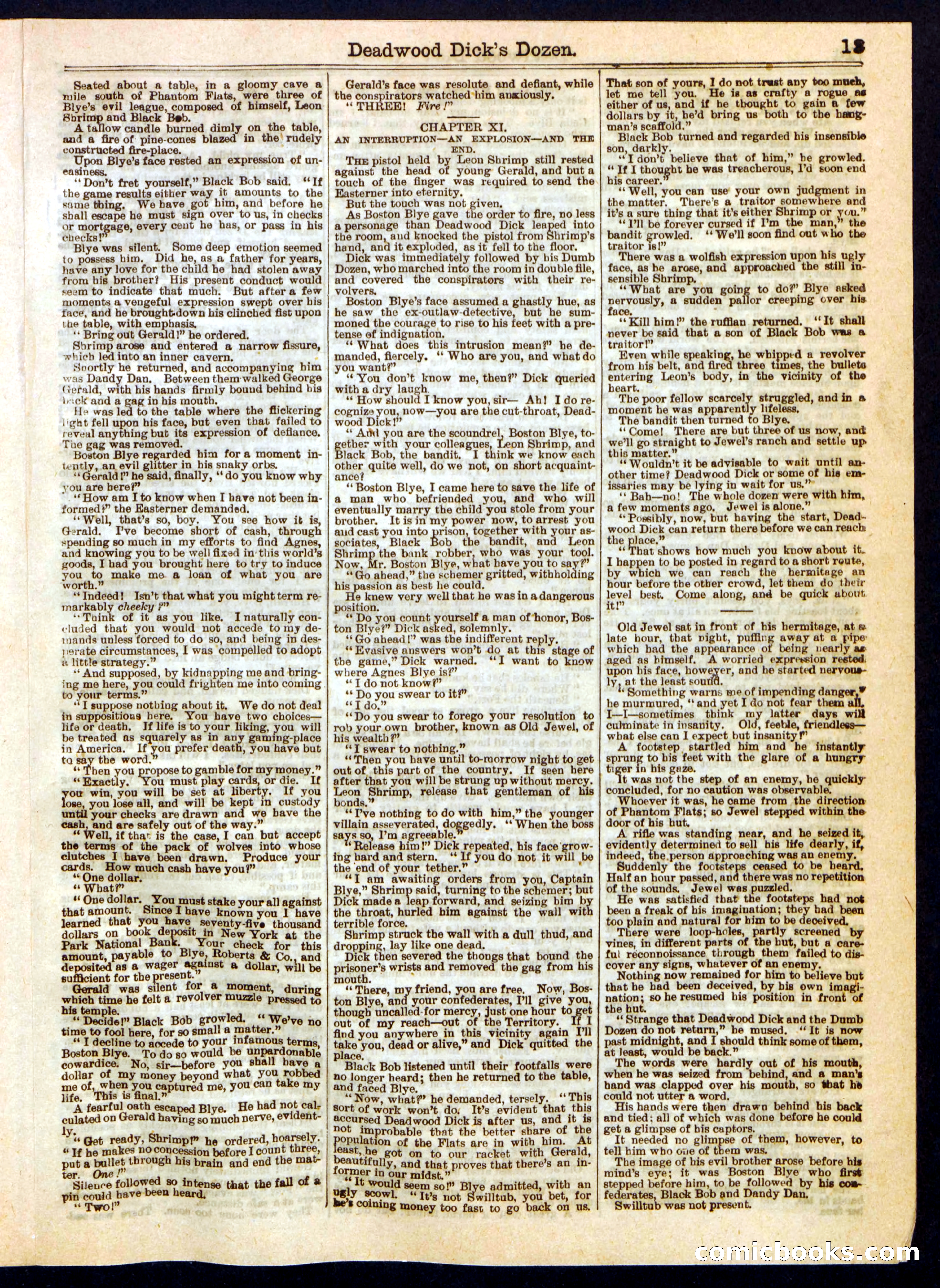 Beadle's Half Dime Library, No. 321 — page 13 of 16