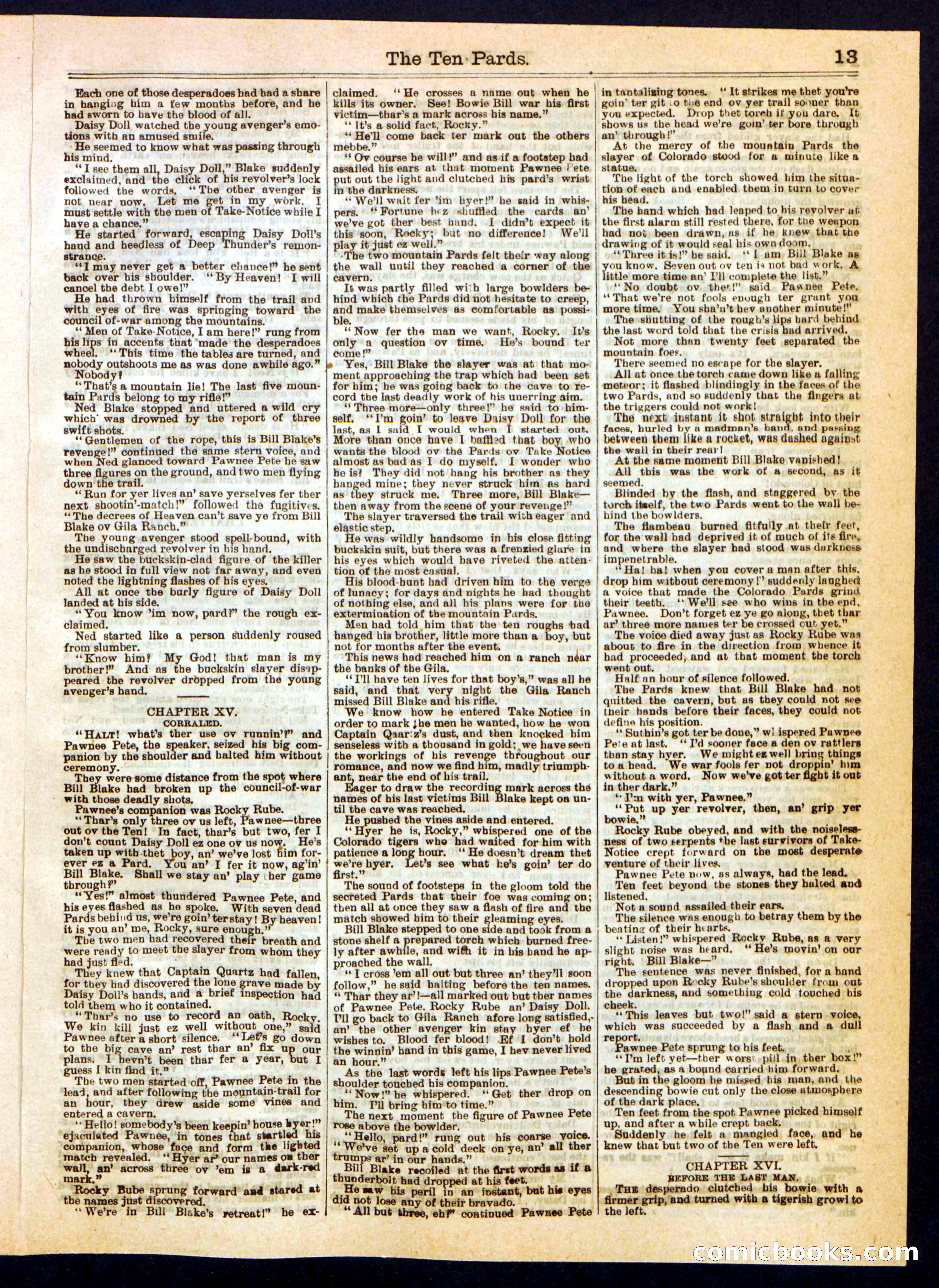 Beadle's Half Dime Library, No. 326 — page 13 of 16