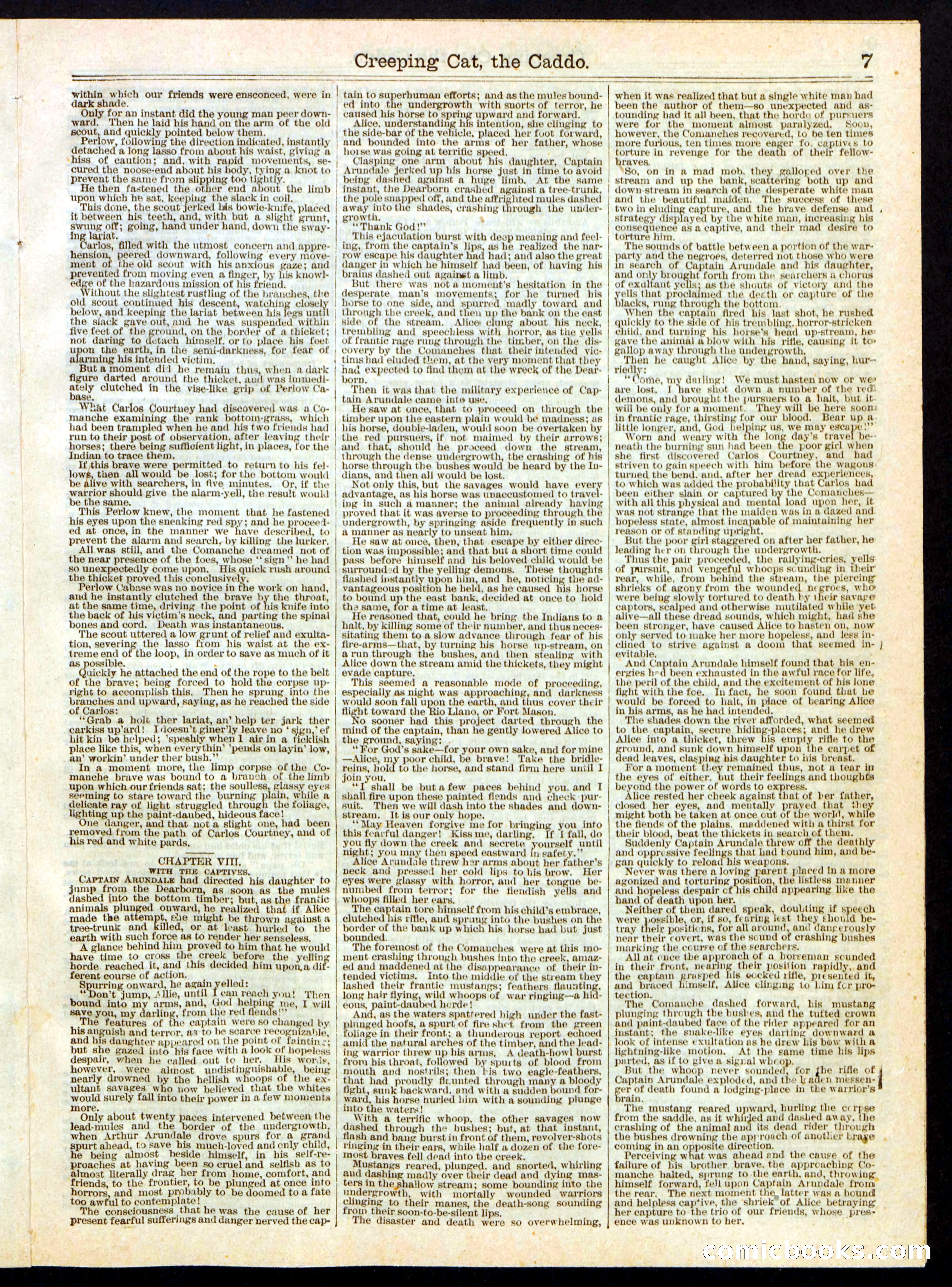 Beadle's Half Dime Library, No. 327 — page 7 of 16