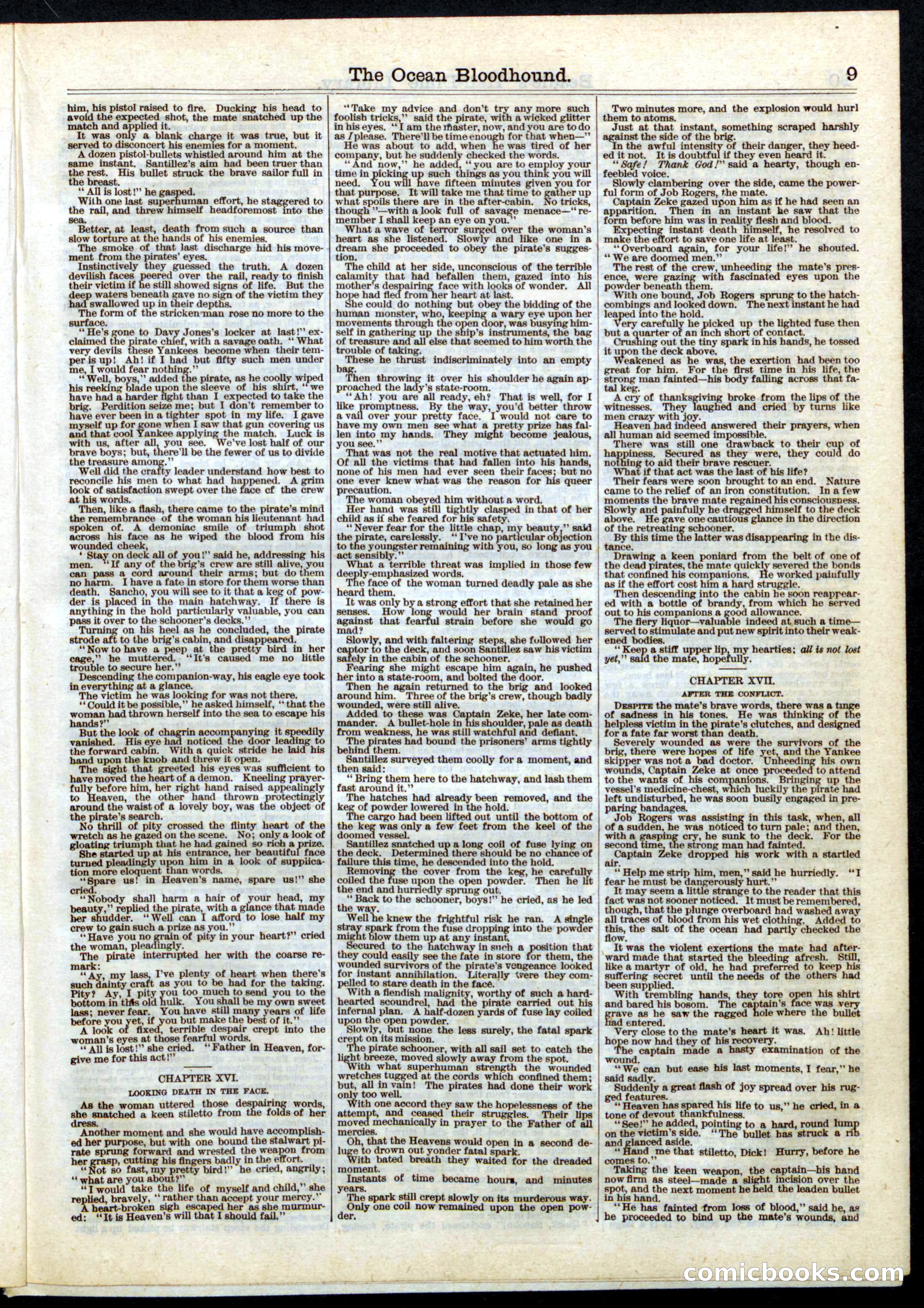 Beadle's Half Dime Library, No. 33 — page 9 of 16