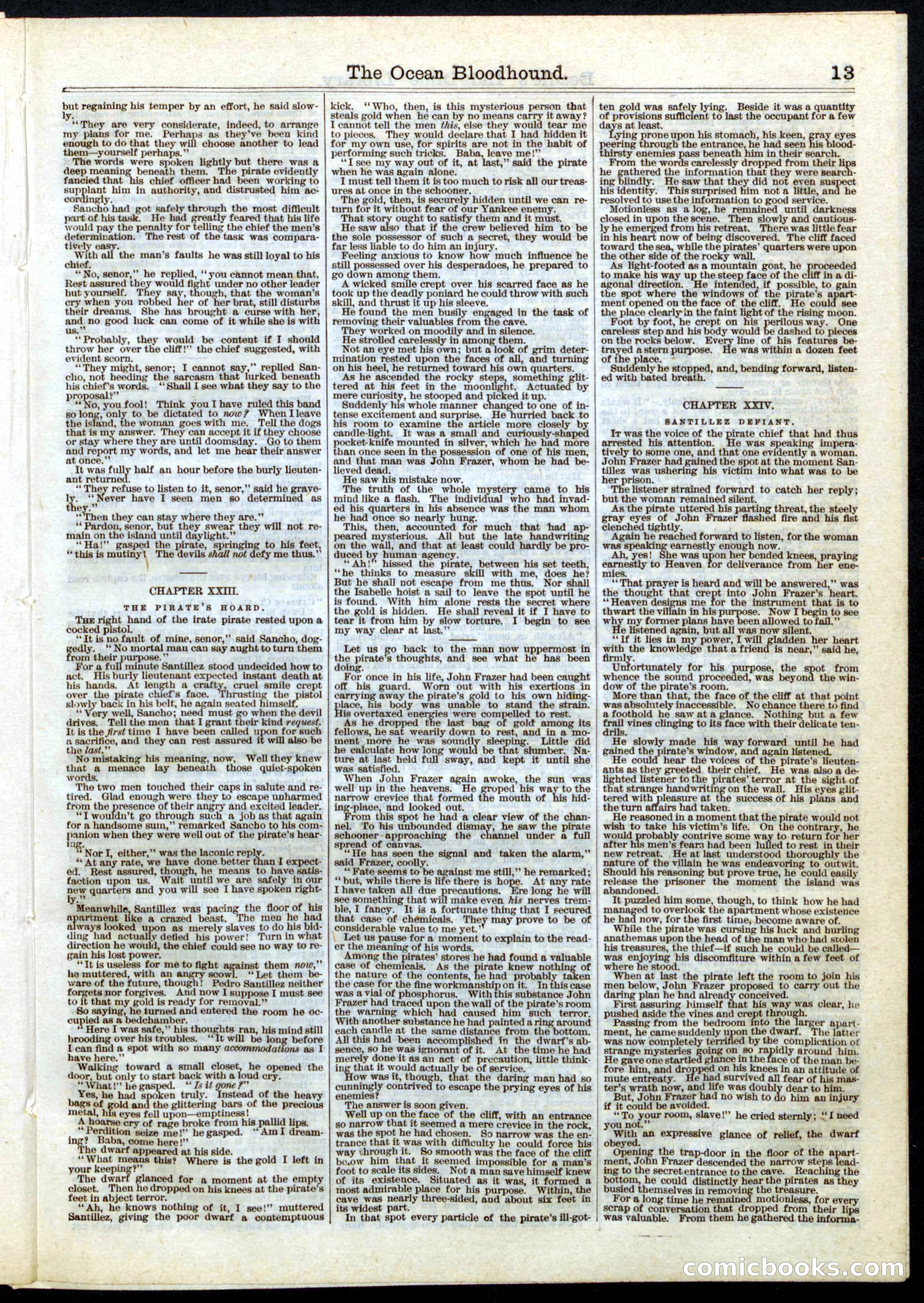 Beadle's Half Dime Library, No. 33 — page 13 of 16