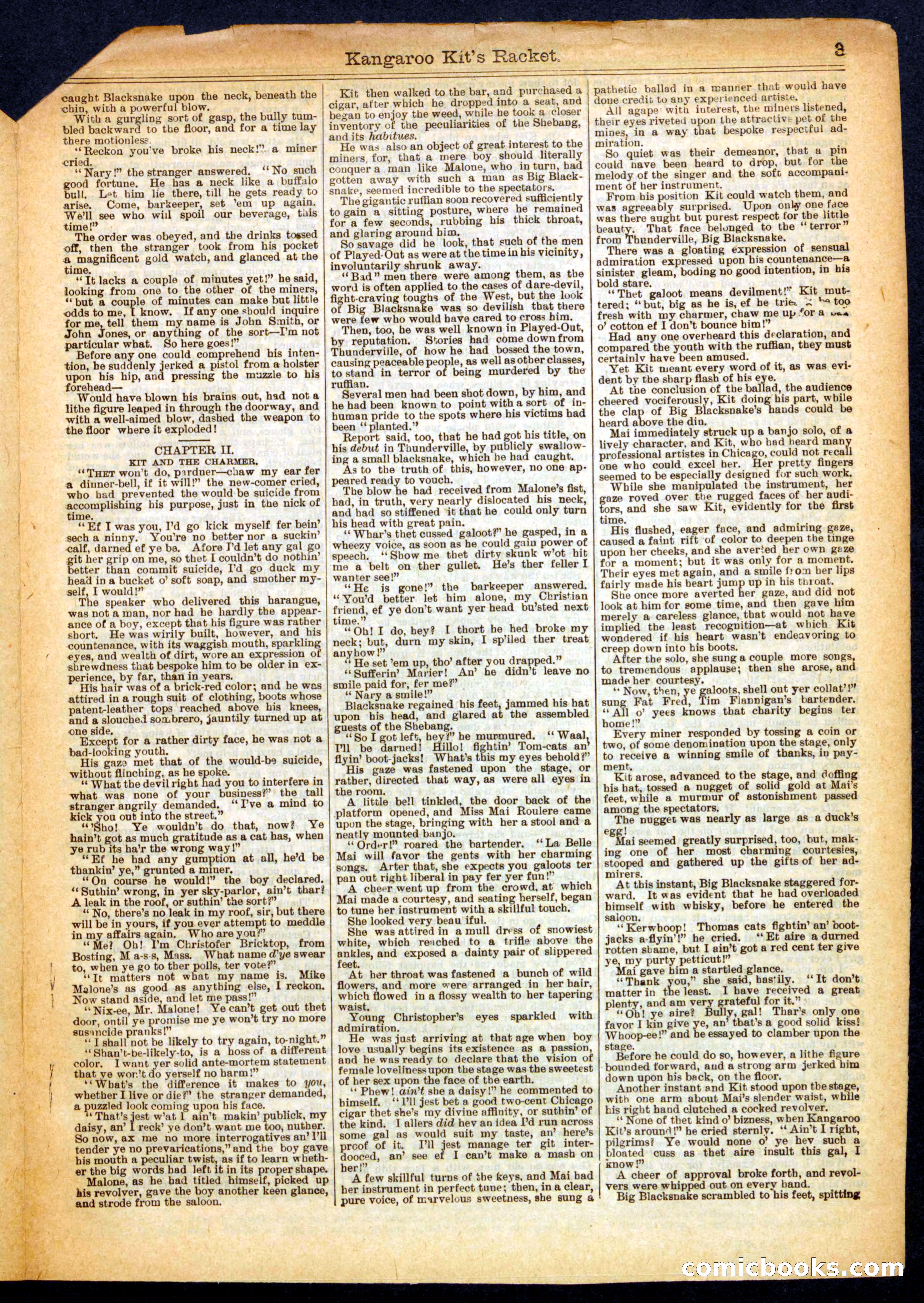 Beadle's Half Dime Library No. 339 — page 3 of 16